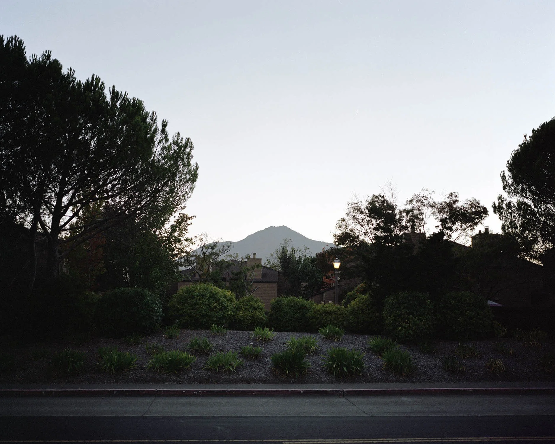 MOUNTAIN_EVENING 001.jpg