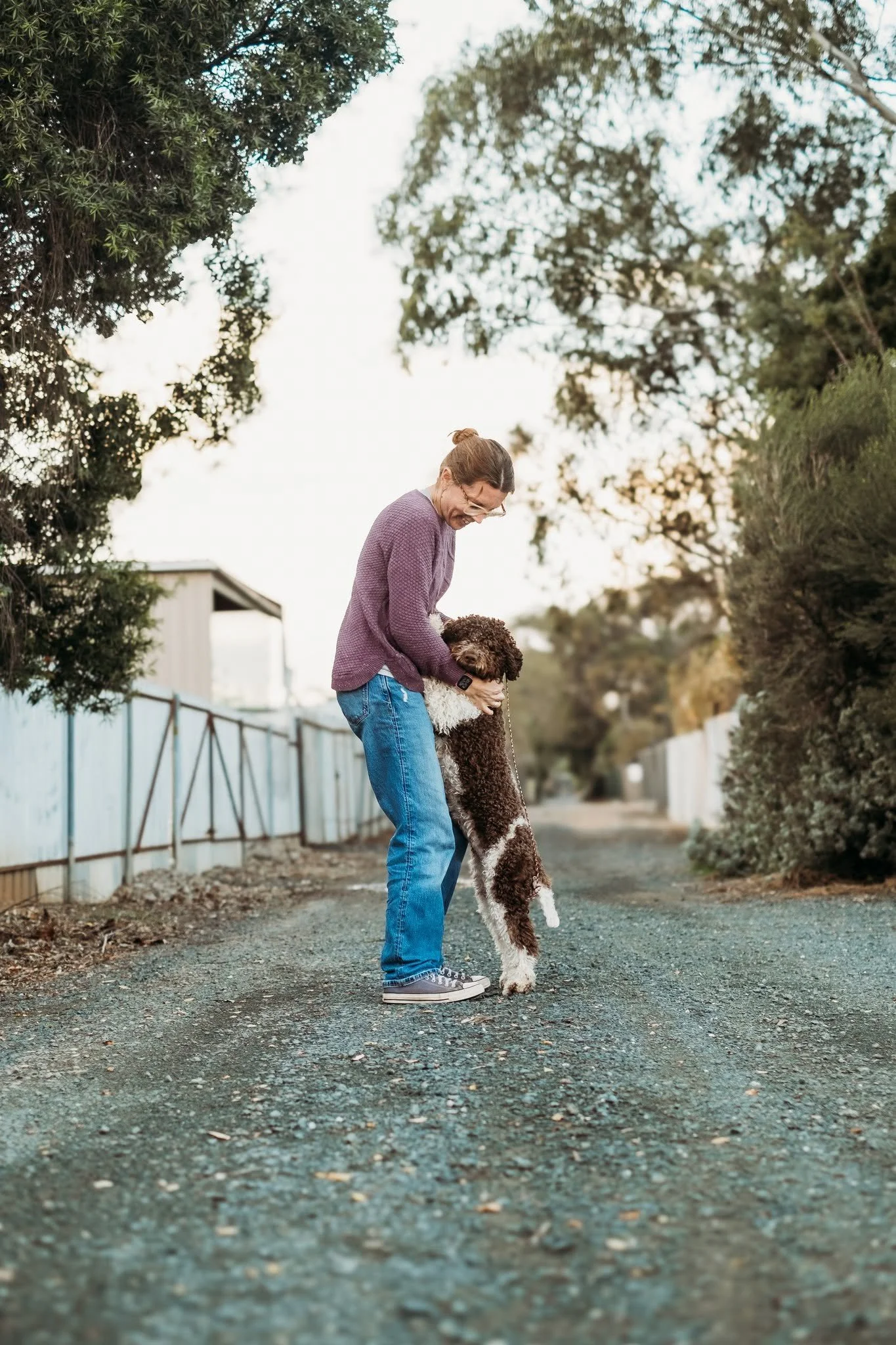 A woman with glasses and a purple sweater playing with a large brown and white dog on a dirt path outdoors, surrounded by trees and a white fence.