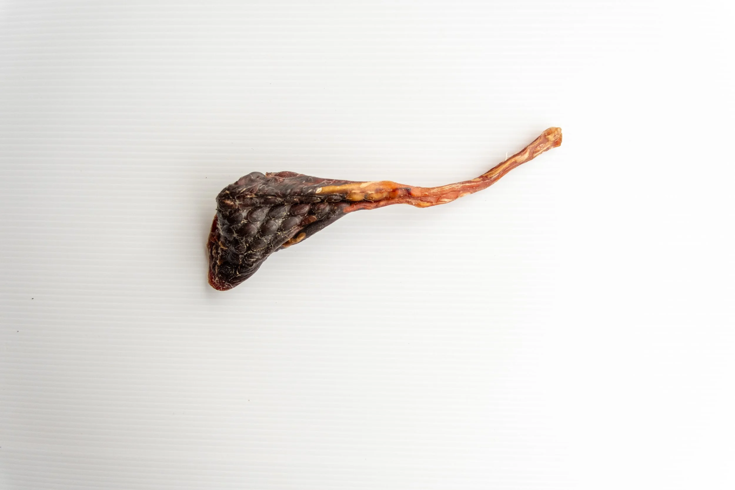 Kangaroo Tendon Power Chew