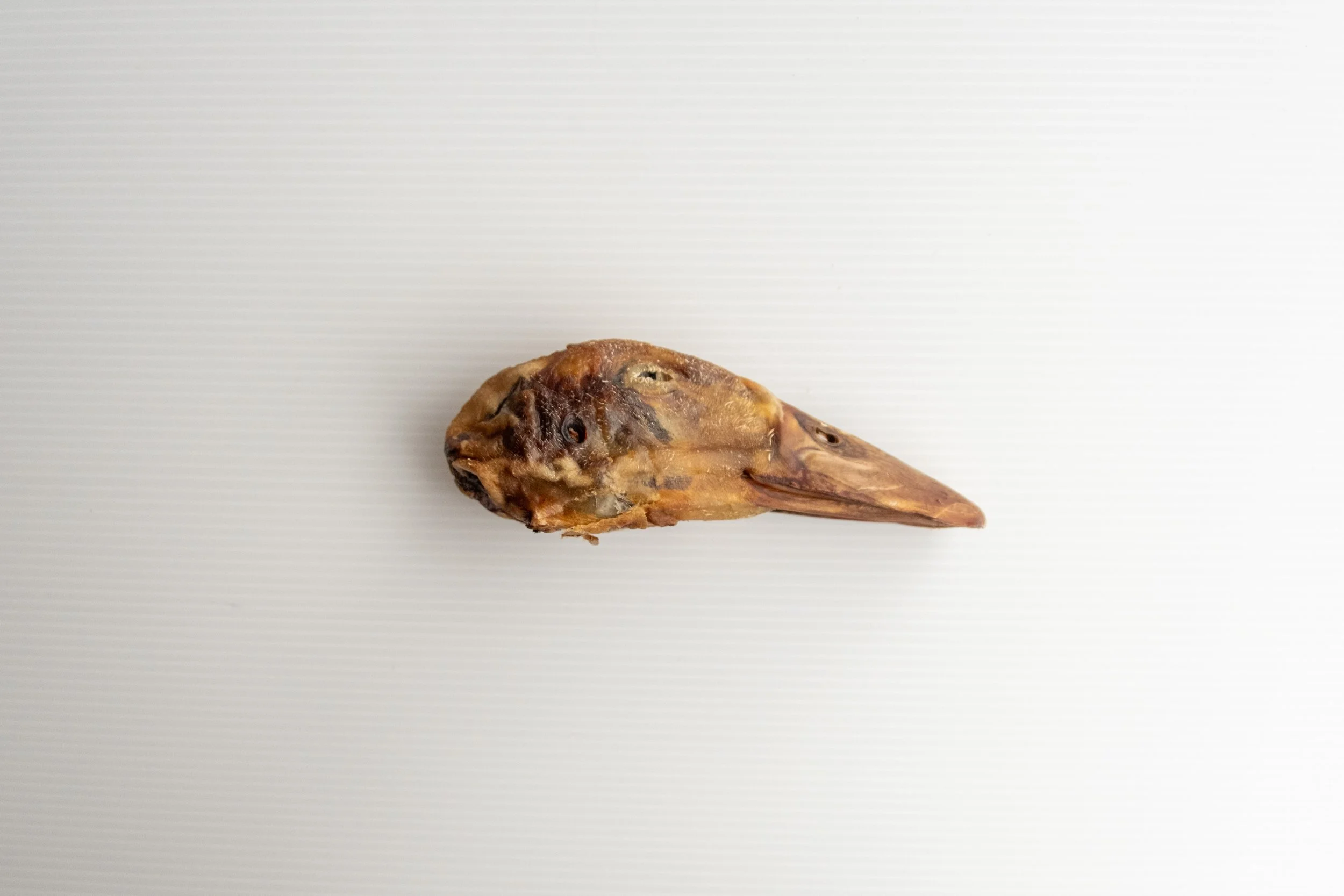 Duck Head