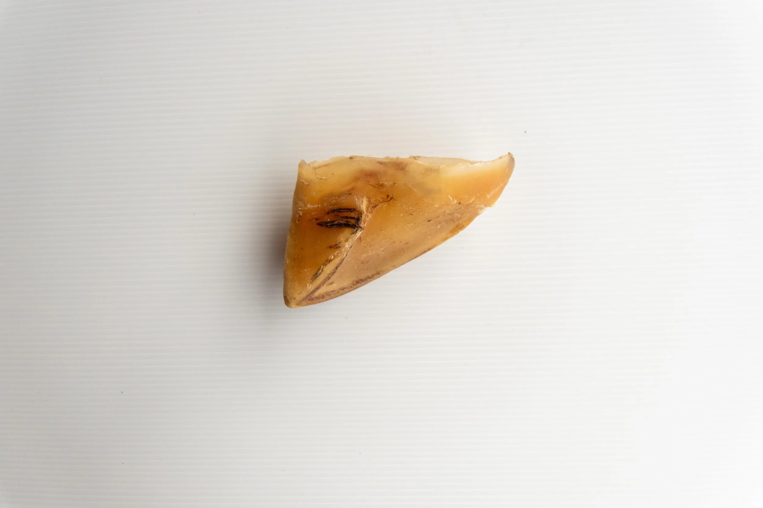 Cow Toe