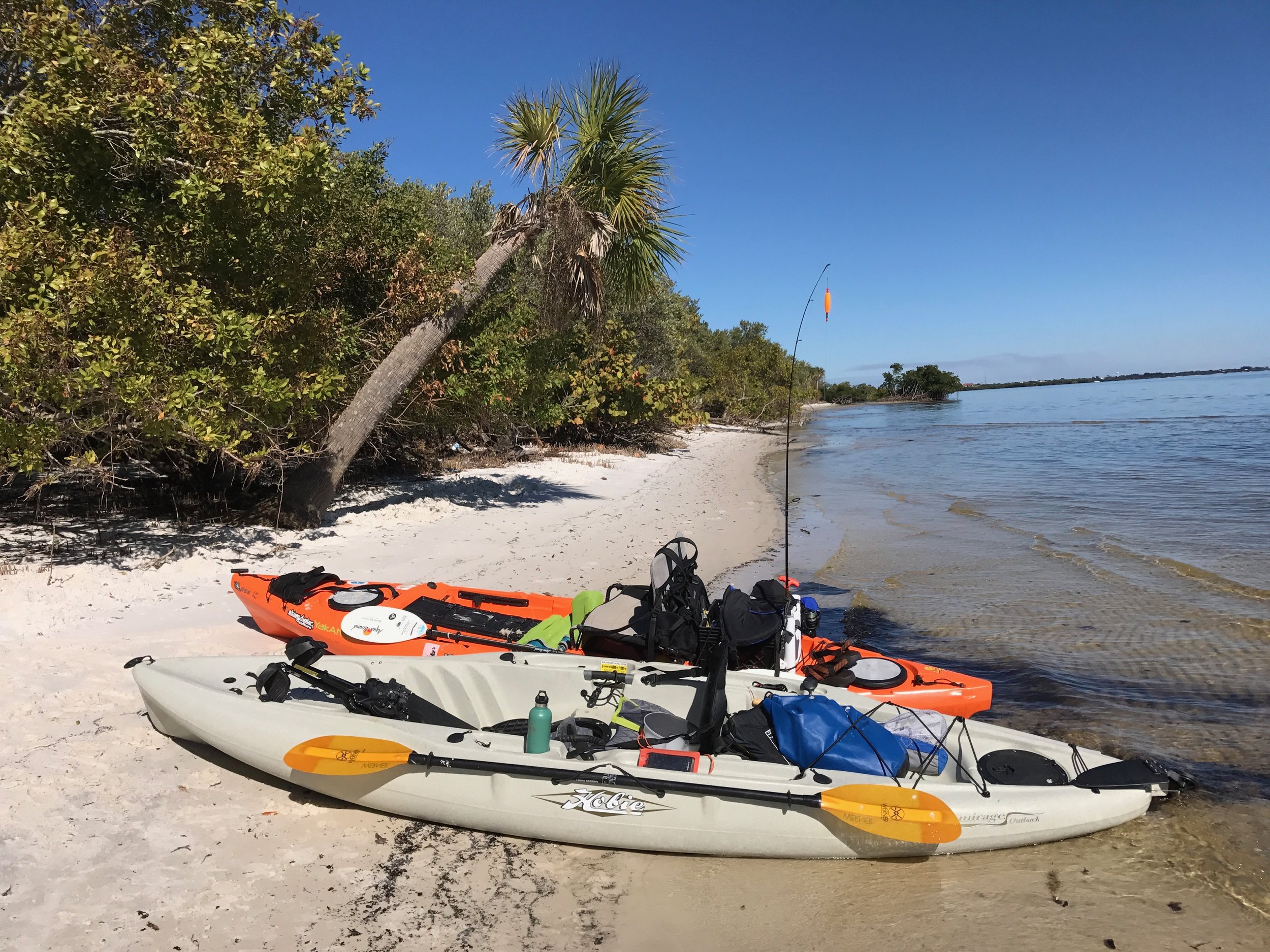 Multiple colorful kayaks and paddles on white sand beach with trees and water in the background, fishing float hanging from a tree, sunny day on the Florida Gulf Coast.