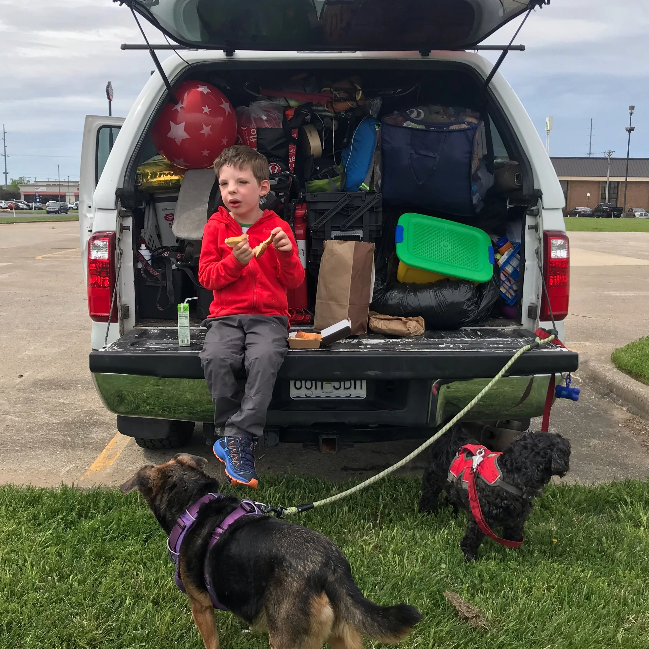 A child in a red shirt sitting on the open tailgate of a truck loaded with road trip gear as his two dogs wait for a snack.
