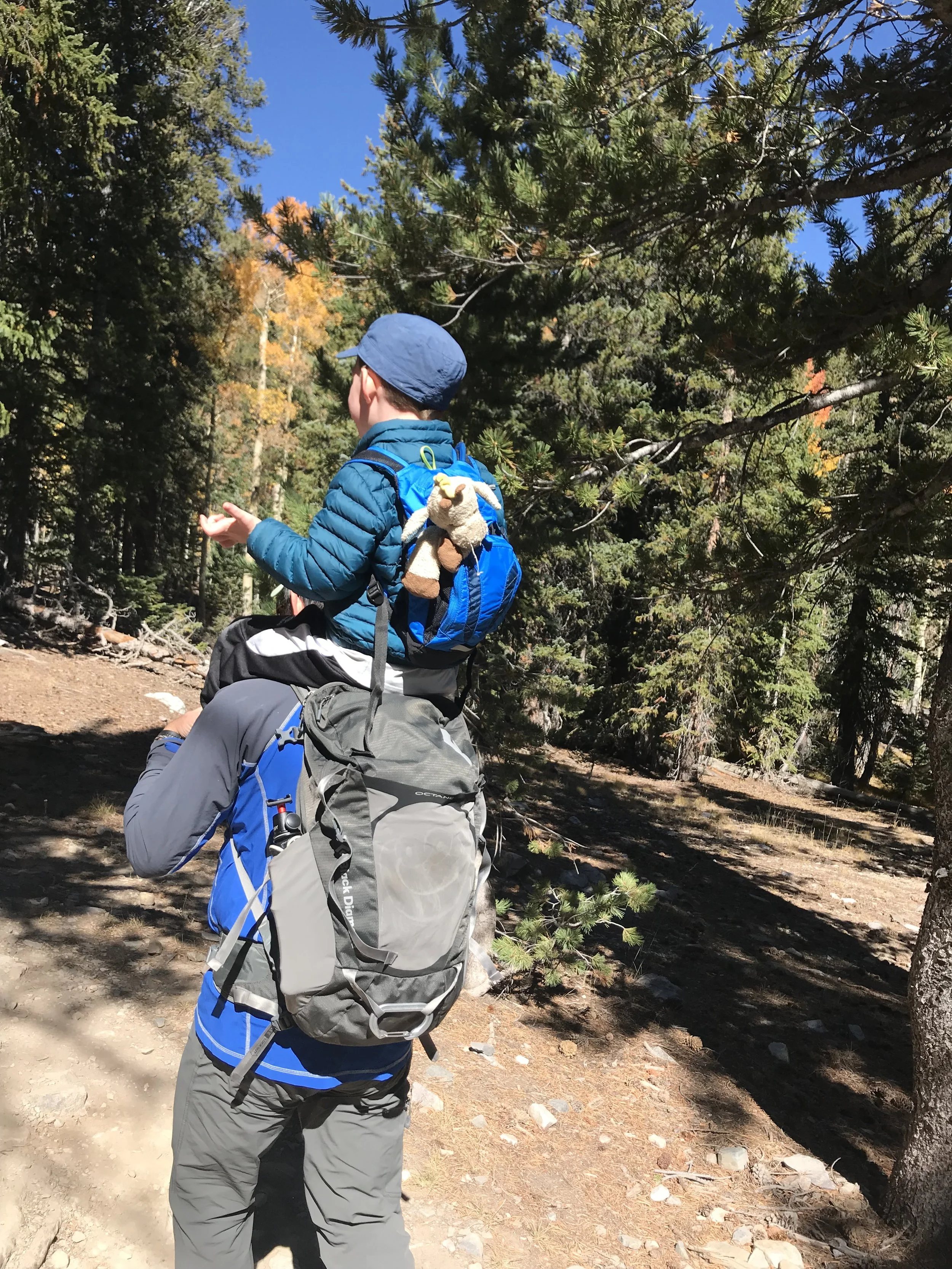 A First Hike on Good Terms: A Quick Guide for Sensory-Sensitive Beginners