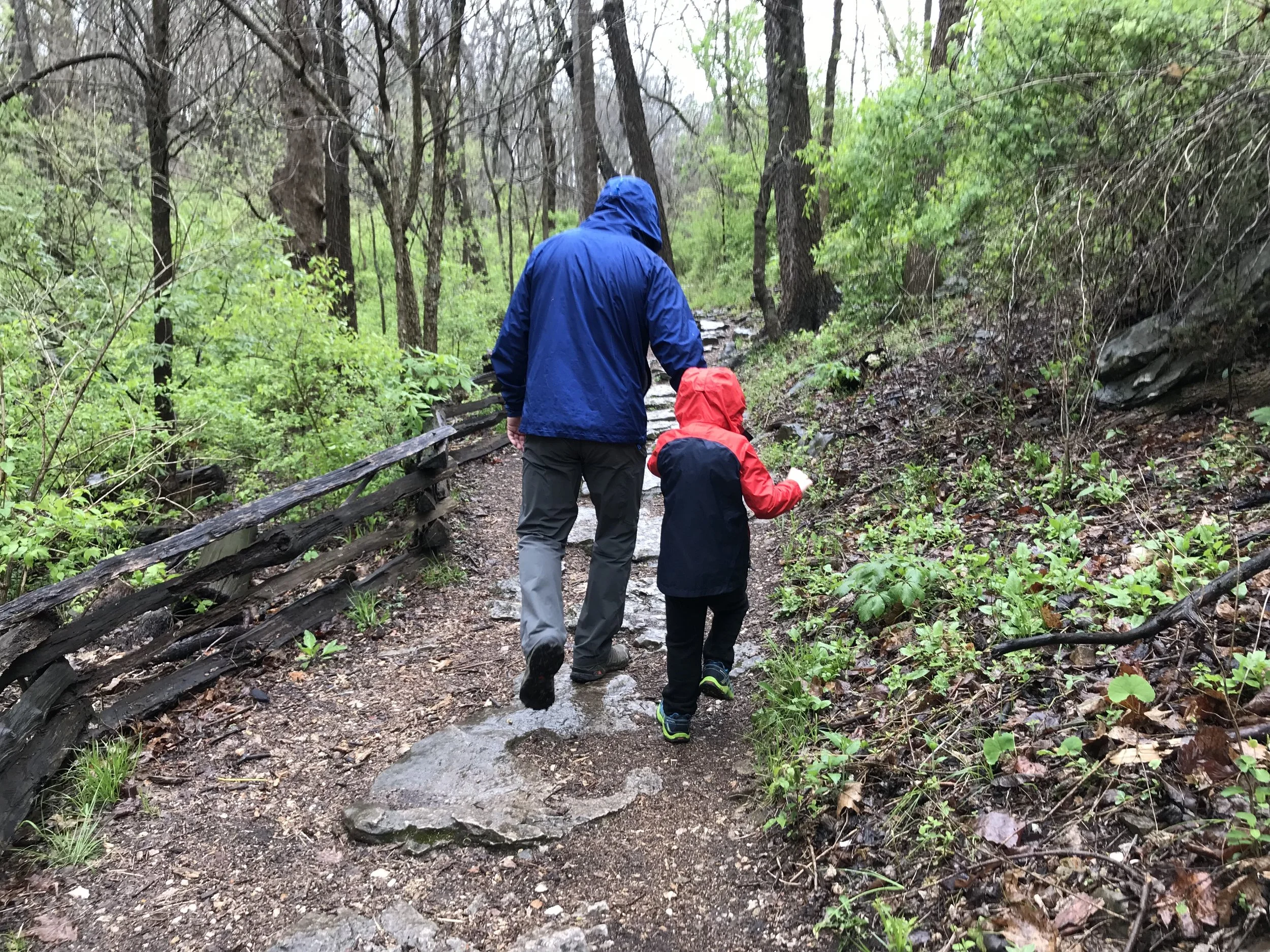 An adult in a blue rain jacket and a child in a red rain jacket hiking a wet, green forest trail in the rain.