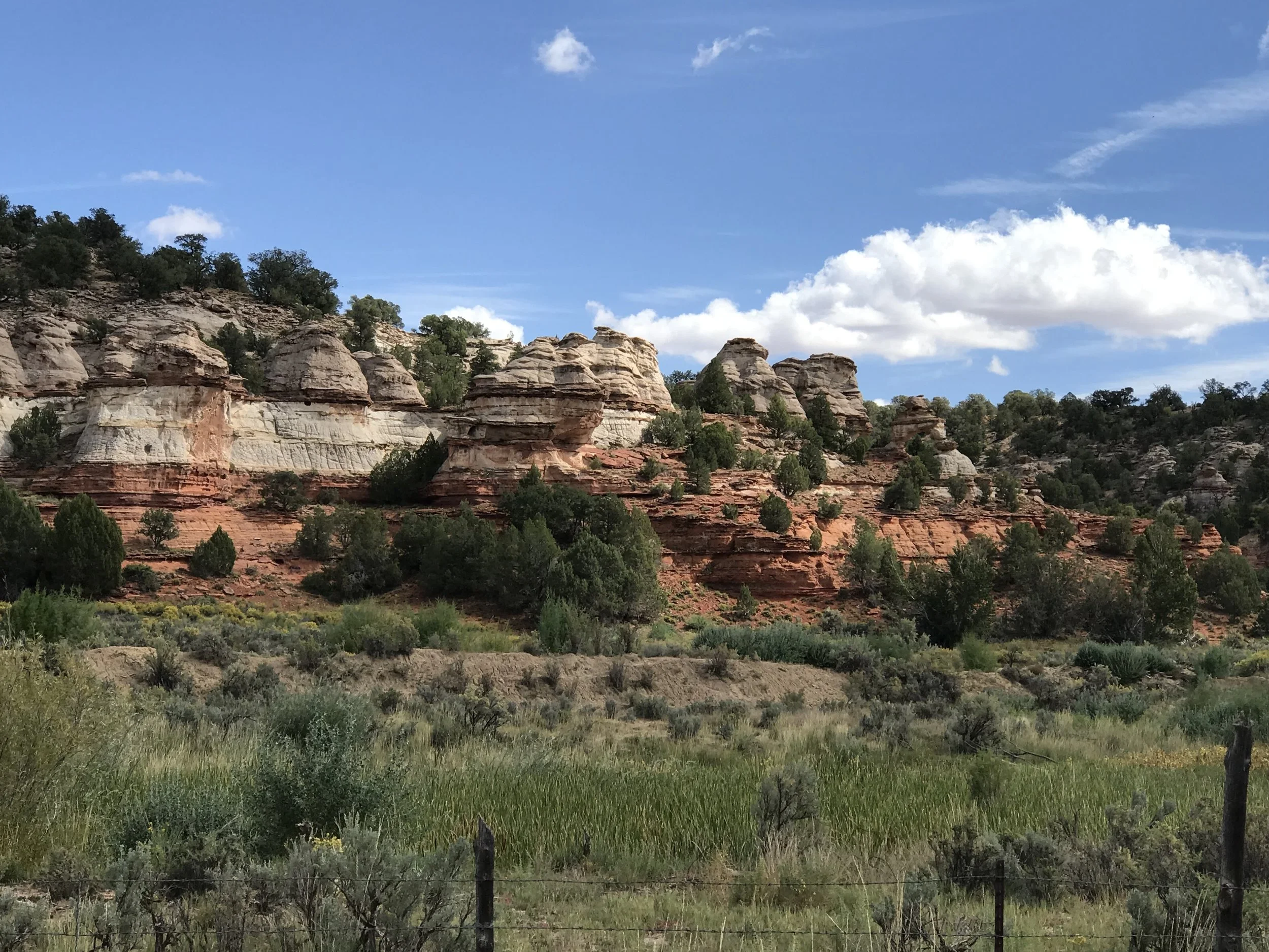 Layered red and white sandstone cliffs rising above green trees along Johnson Canyon Road.