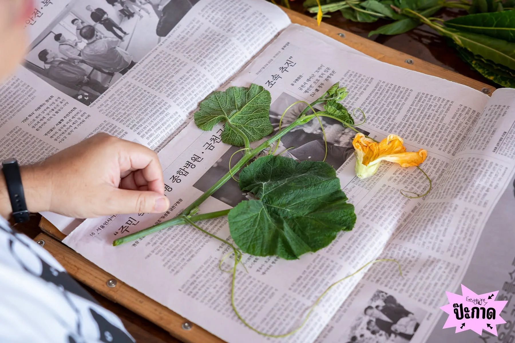 SPECIMEN of Local Veggie to Global Preference