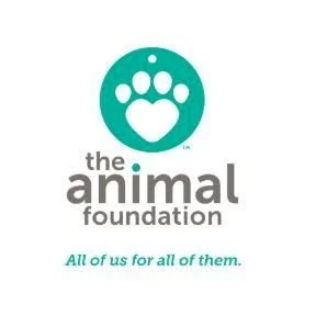 The Animal Foundation