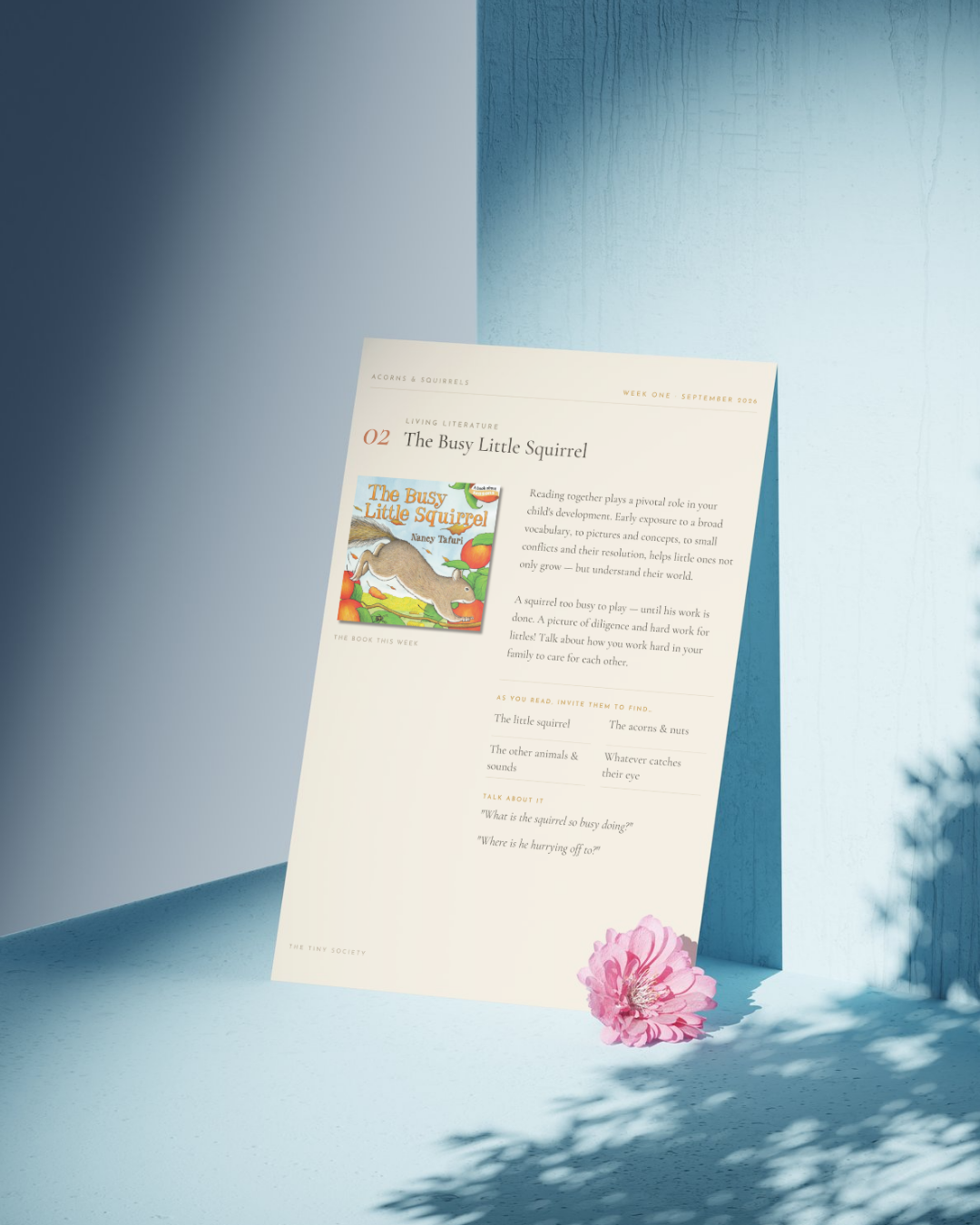 Cover (6).png