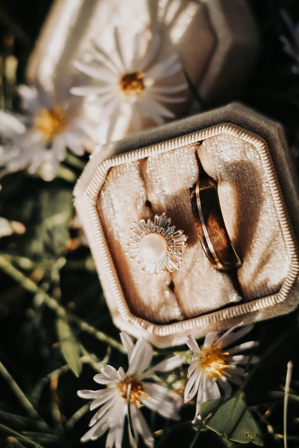 lose up of wedding rings in a velvet box surrounded by white daisies in Lubbock Texas