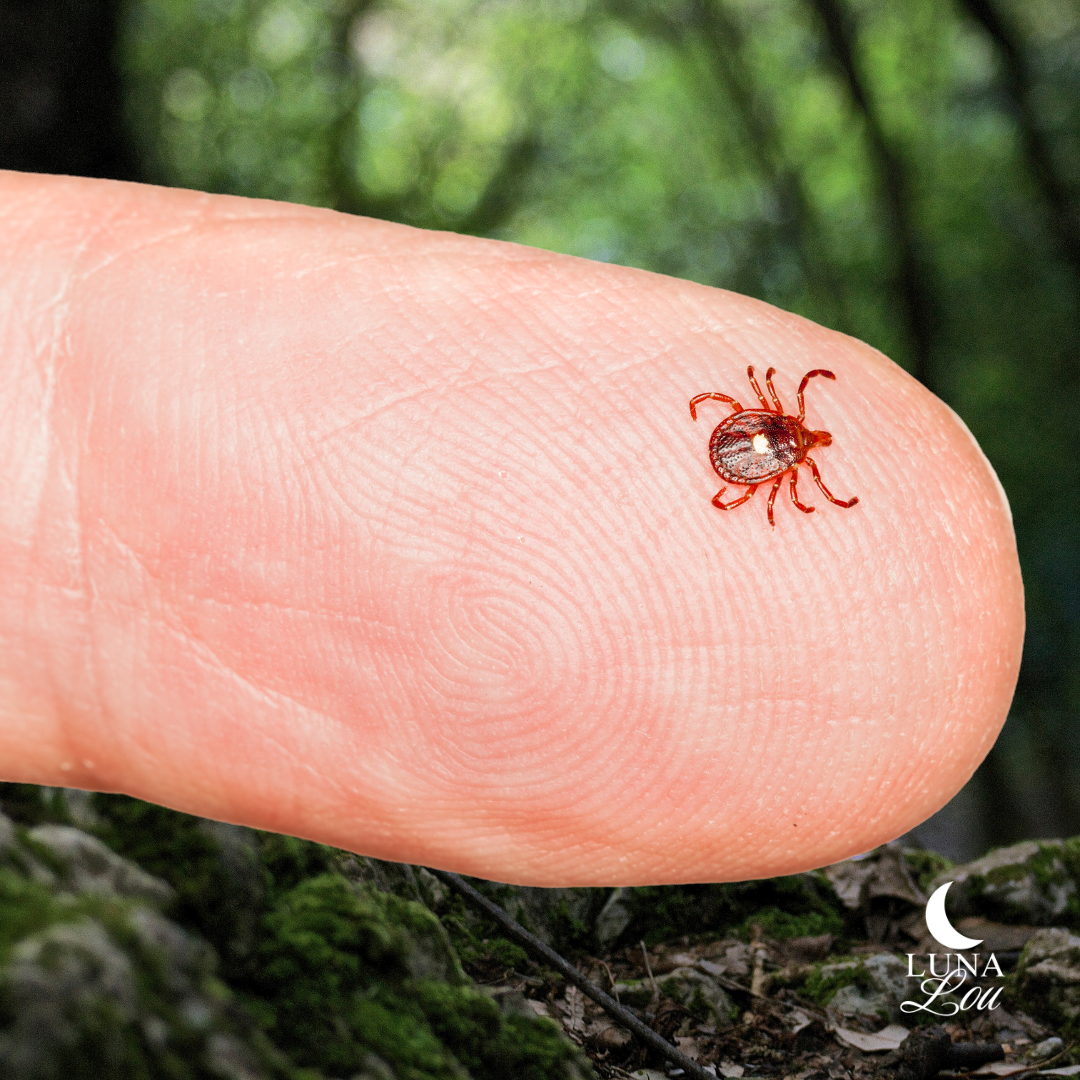 Is Tick Spray Safe for Pets and  Kids?