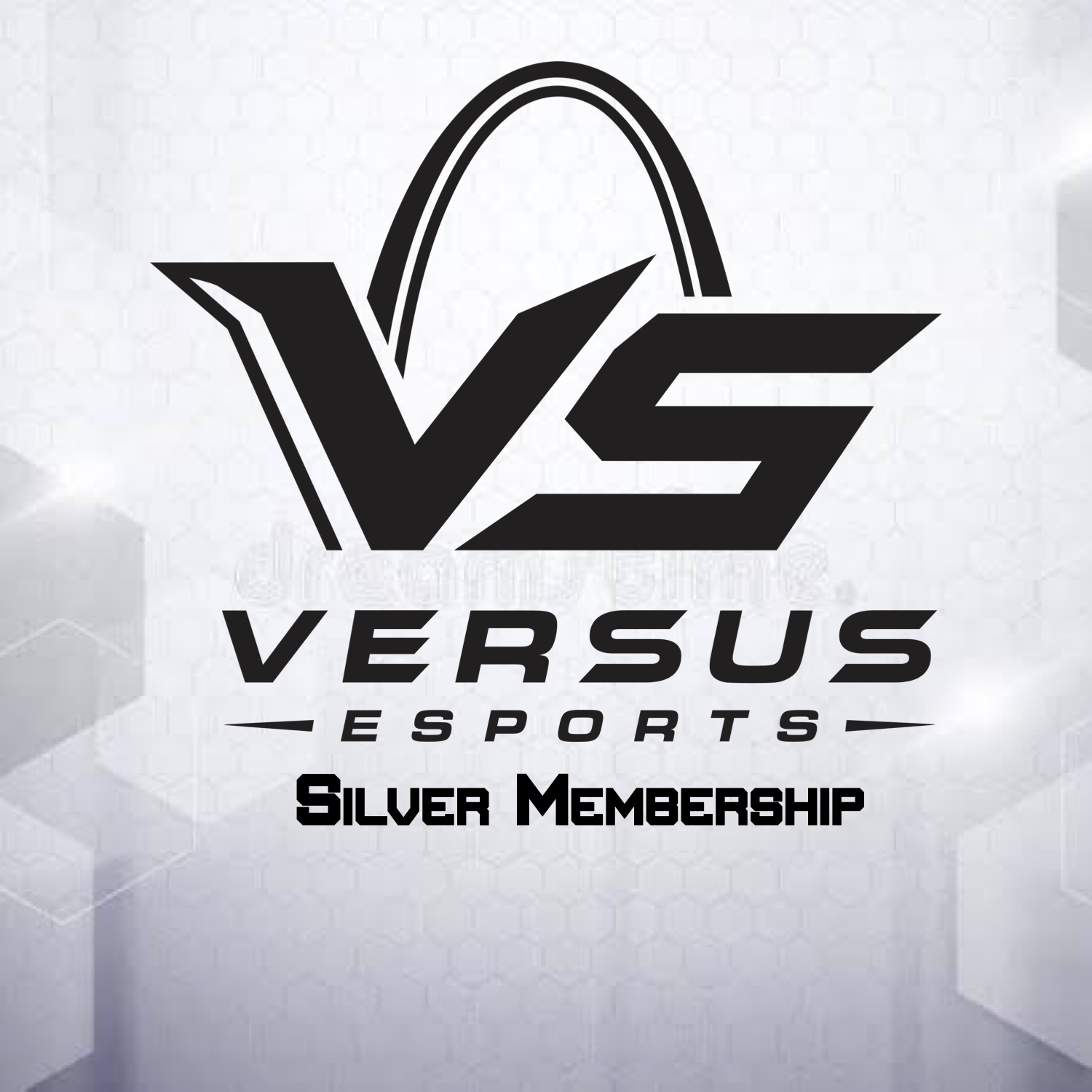 Silver Level