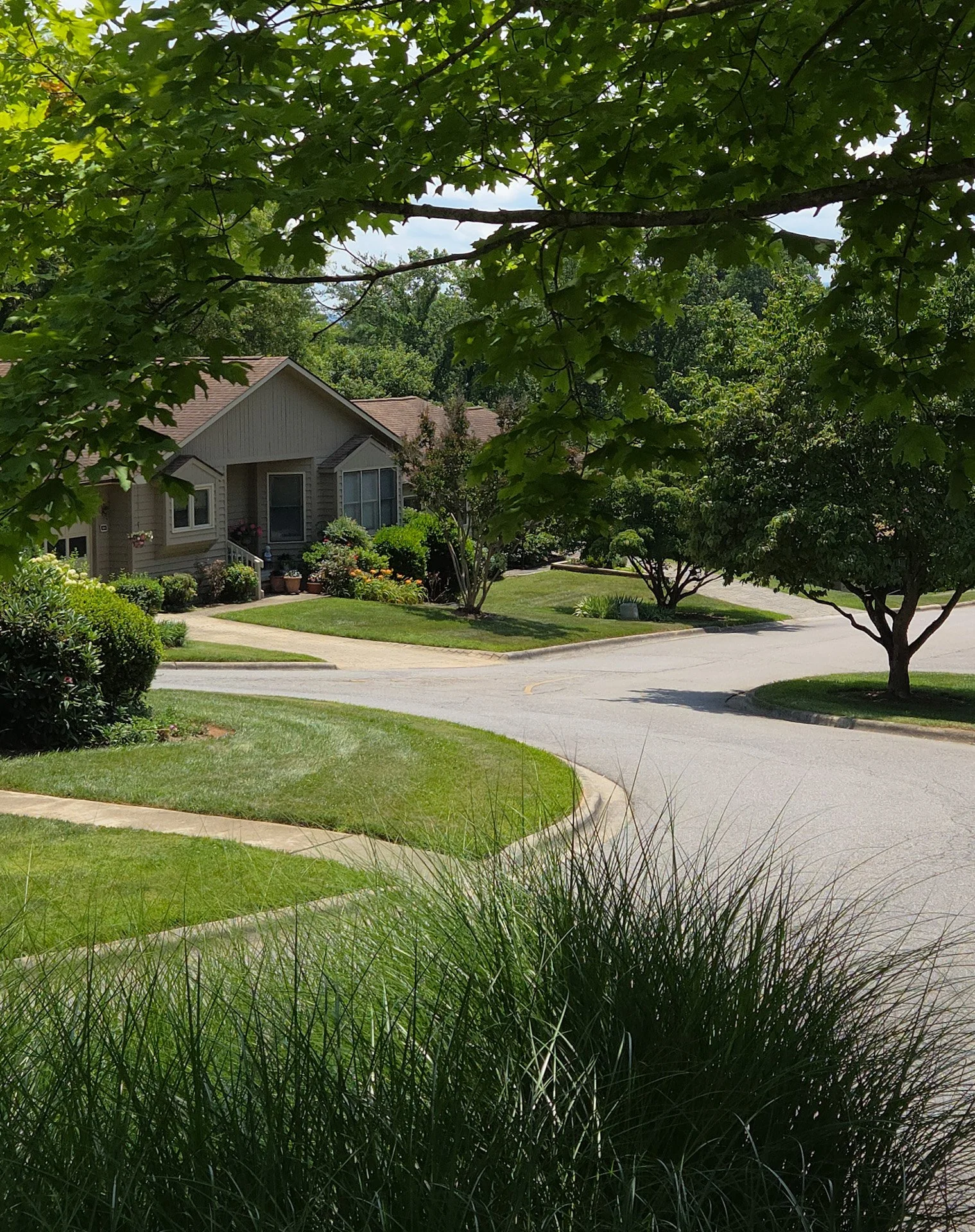 view of Hawthorne Villages from the corner of Foxglove and Trillium