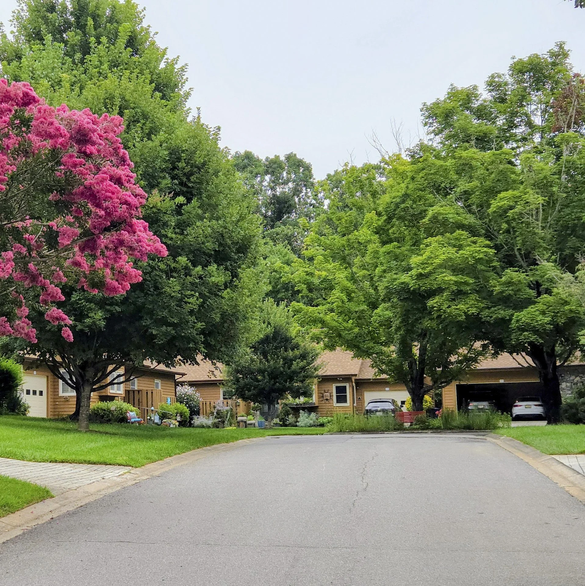 summer in Hawthorne Villages