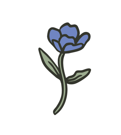 Drawing of a purple PNW wildflower with green leaves and a curved stem.