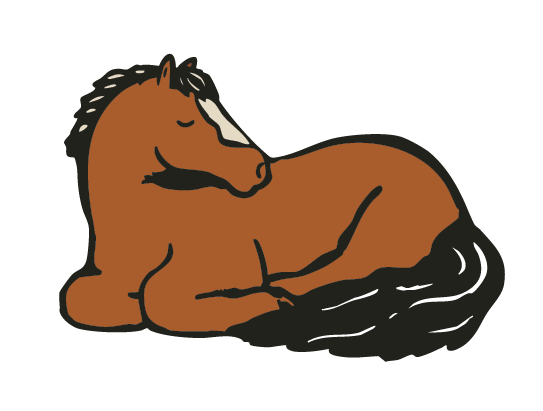 Drawing of a horse resting comfortably.