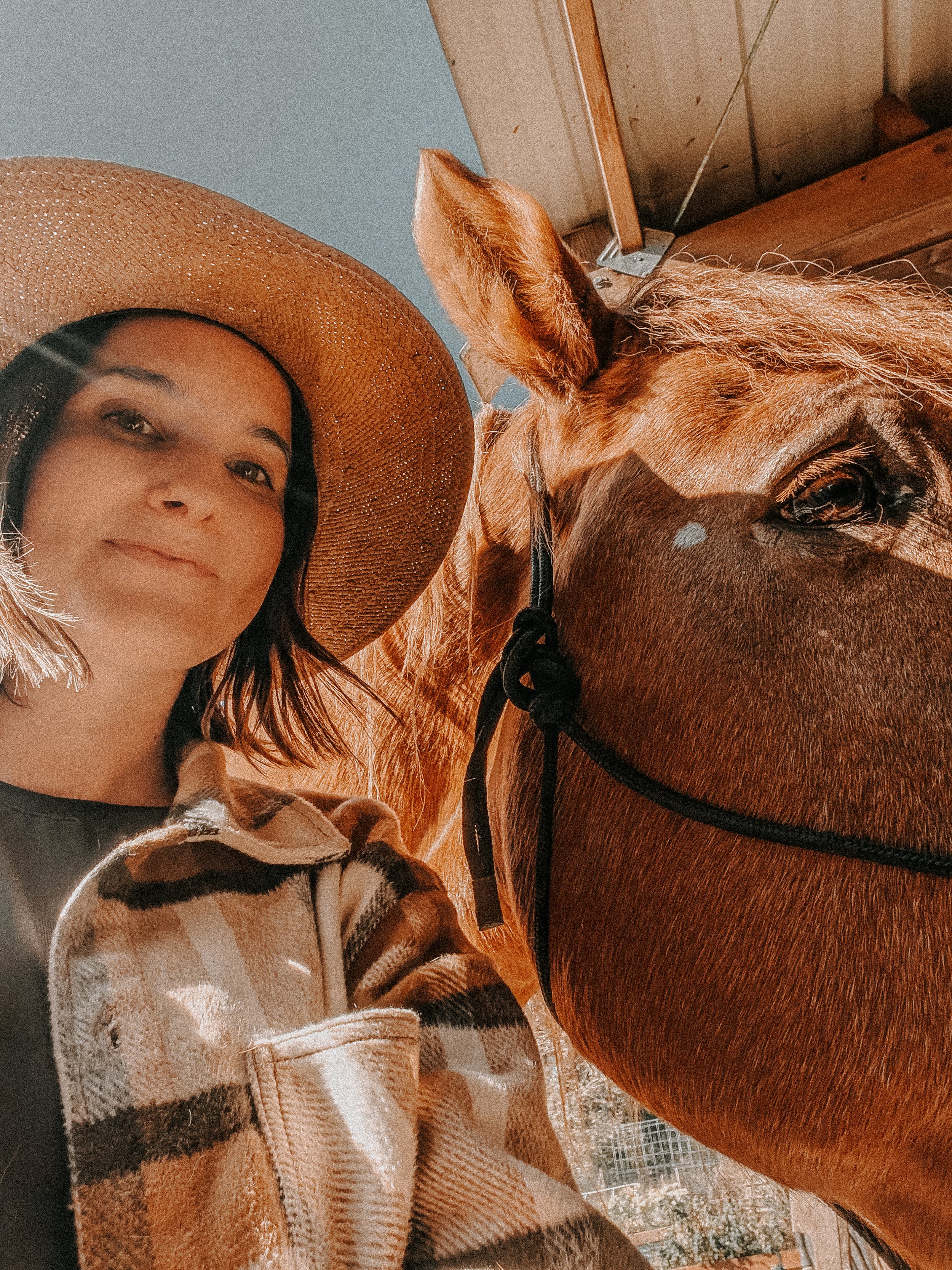 Field & Fern founder, Jill, standing next to a relaxed horse.