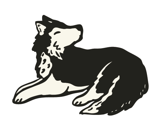 Drawing of a husky dog resting.