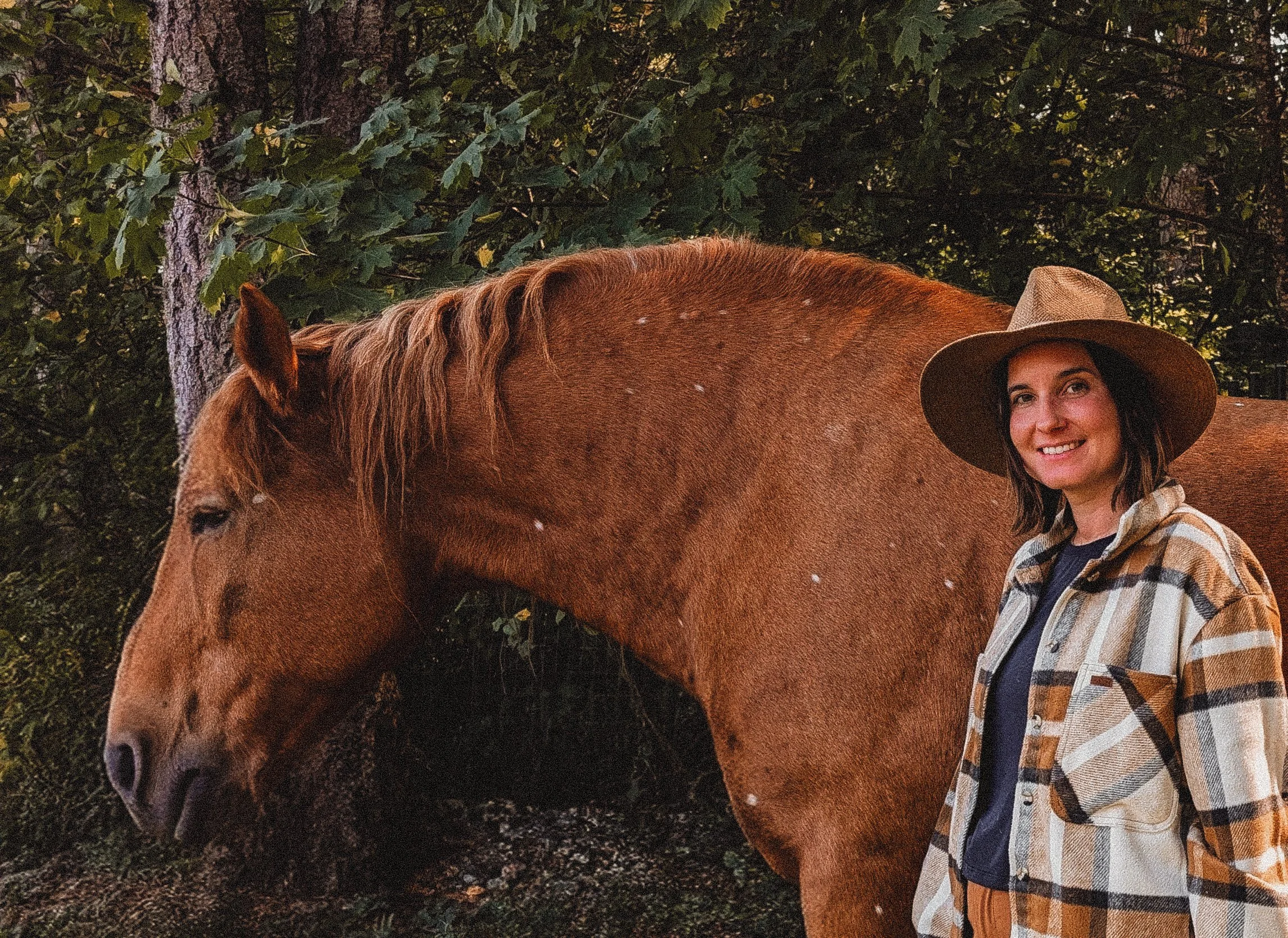A woman with long dark hair wearing a wide-brimmed hat and a plaid jacket, standing beside a large brown horse in a wooded outdoor setting.