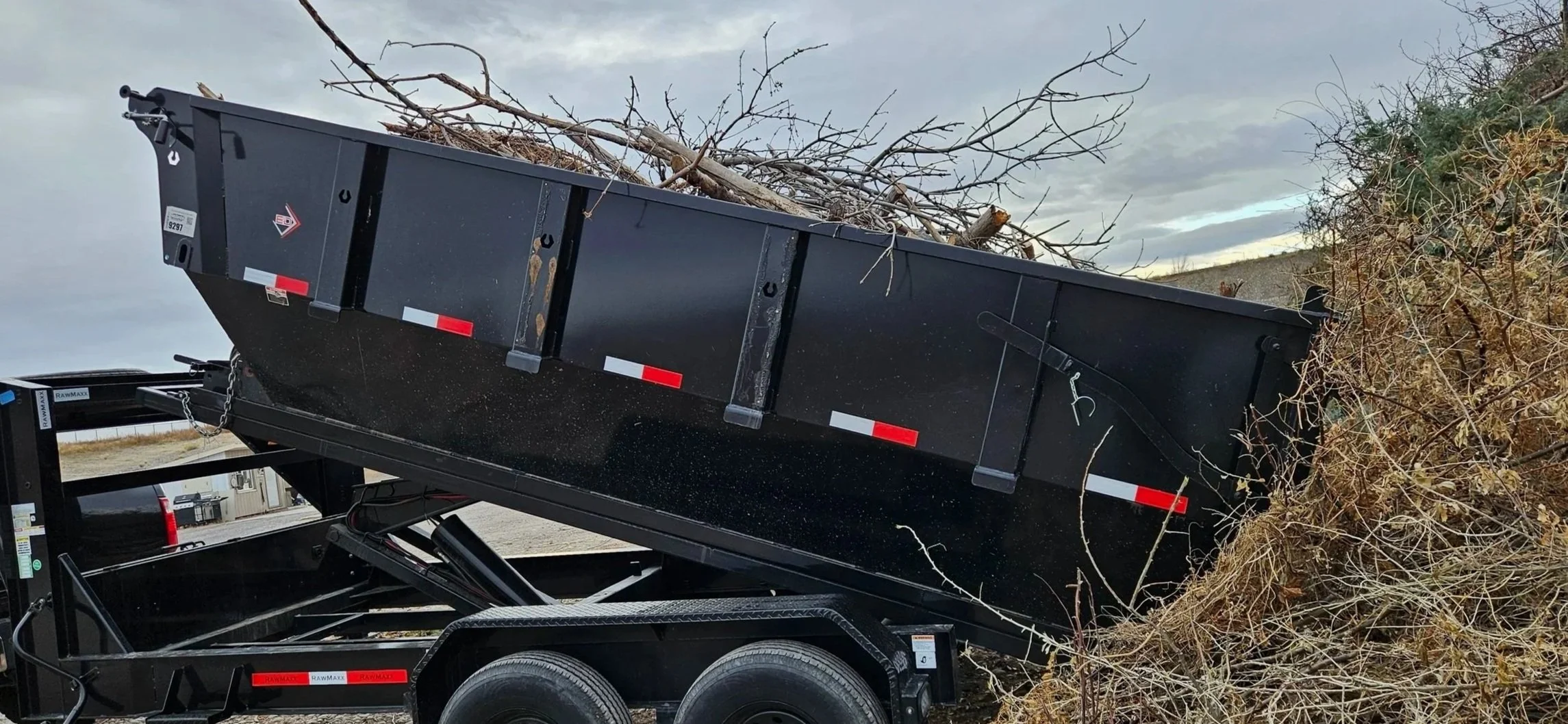 A black wood chipper trailer dumping a load of branches and brush into a large dump truck on a cloudy day.