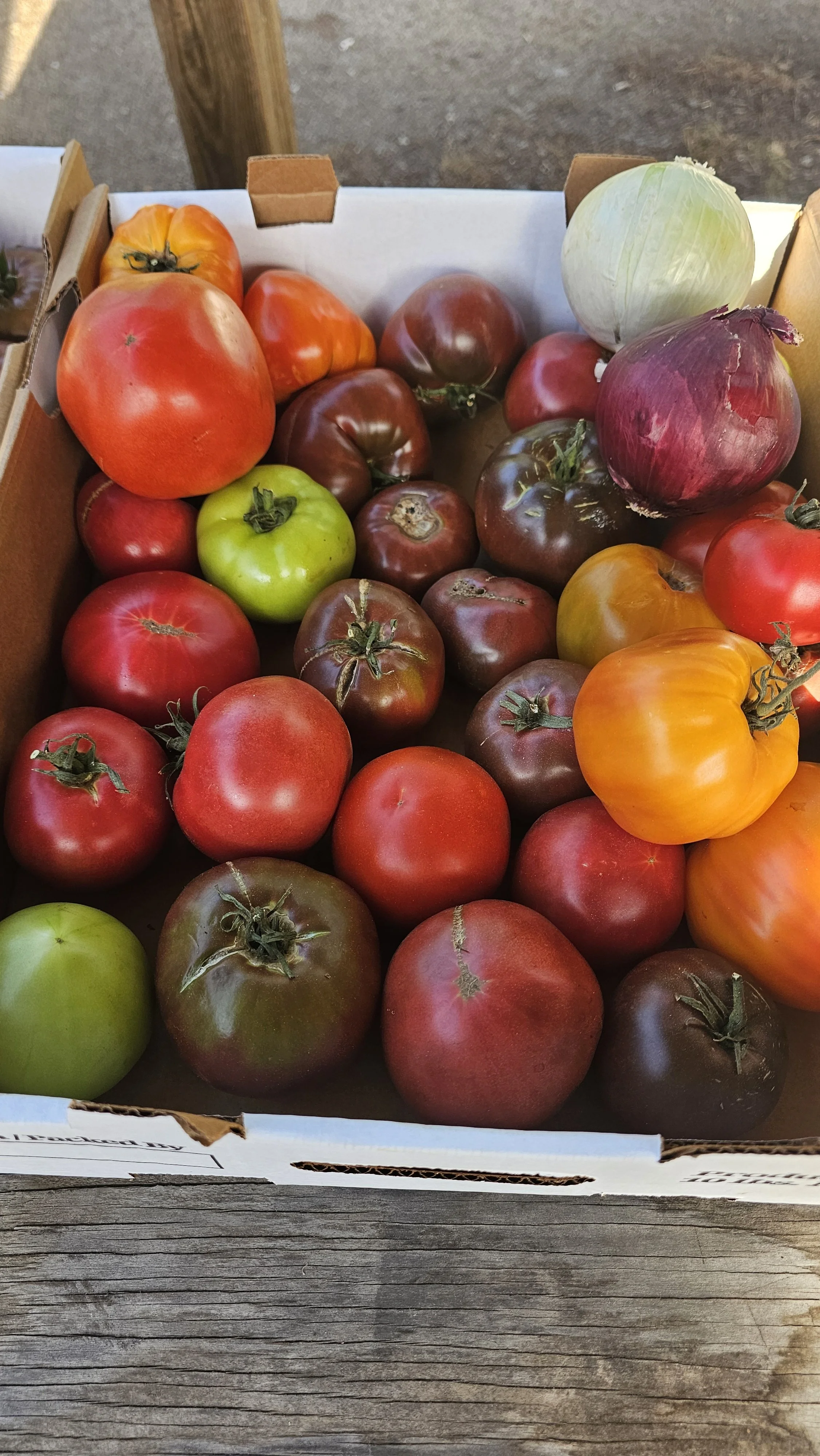 Tomatoes