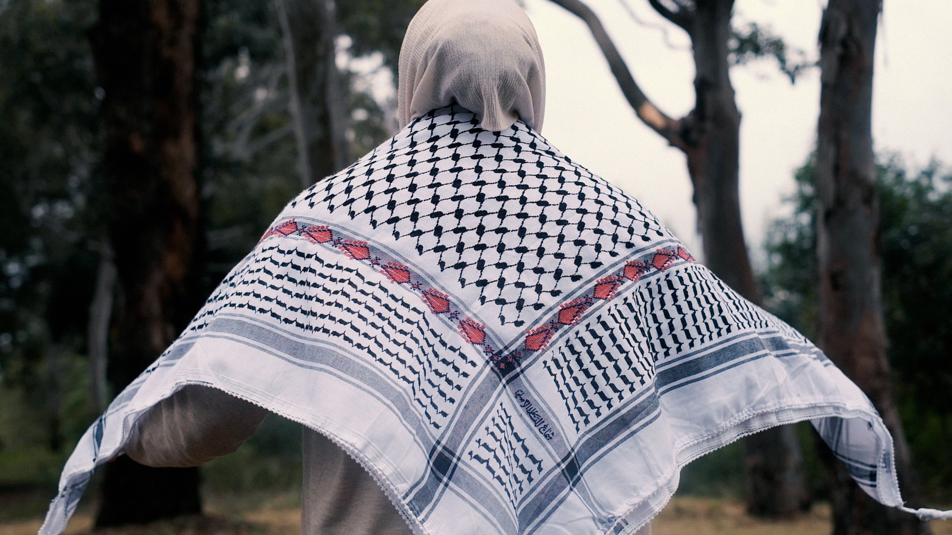 Sousan - Tulkarm Made Video.00_01_45_14.Still014.jpg