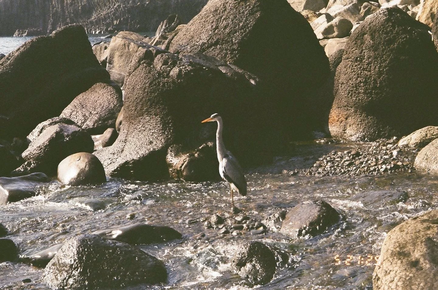 3A6B38F8-0964-4DA8-8962-63897FD88F15.jpeg