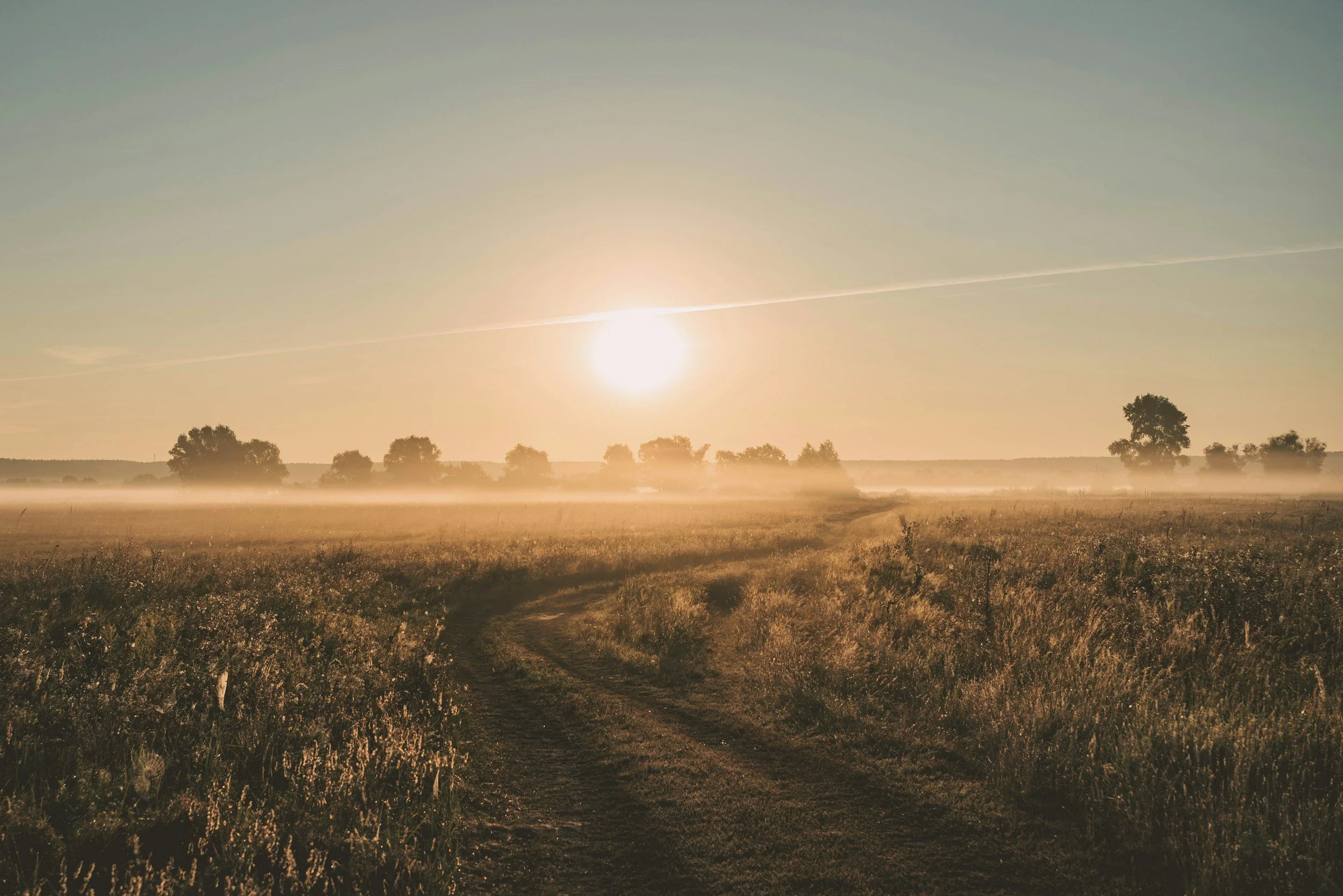 Going Back to Work After a Loss: A Gentle Guide for Yourself
