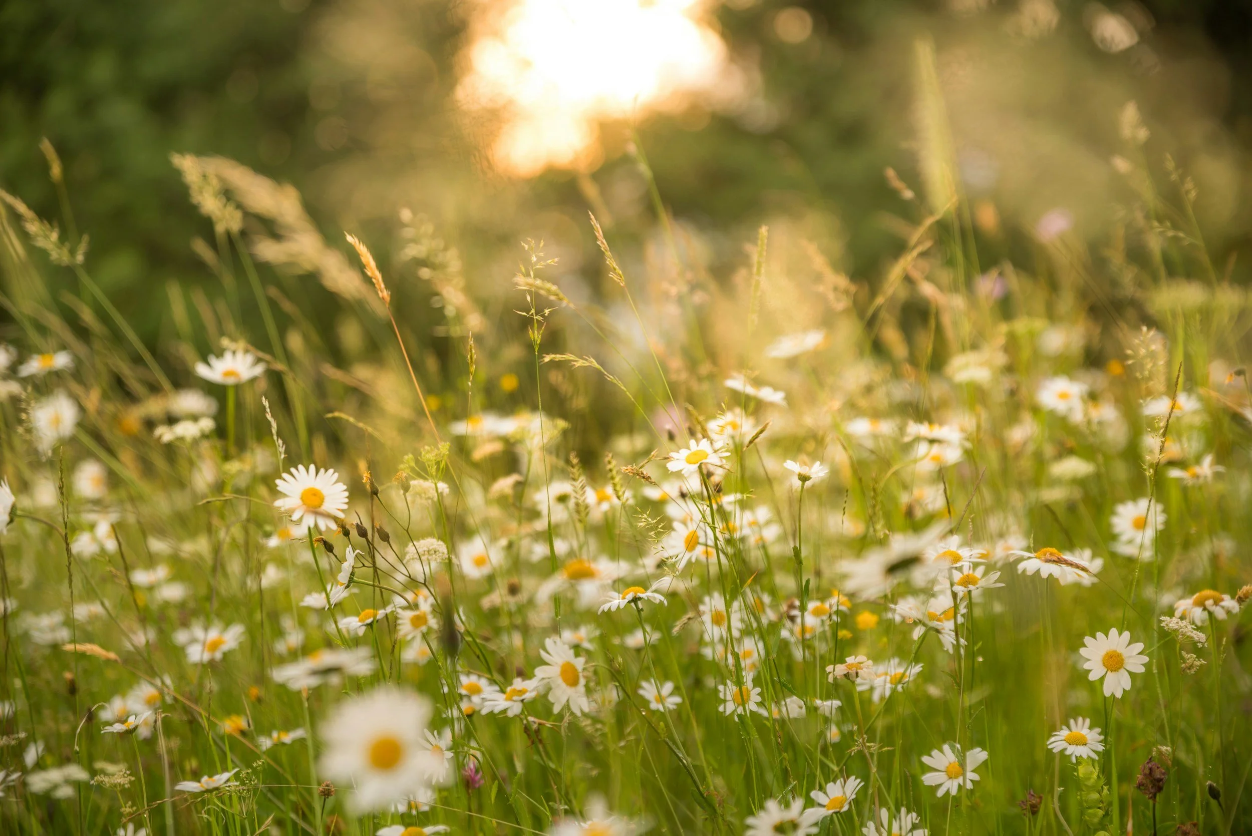 Returning to Work After a Miscarriage: A Gentle Guide for the First Days Back