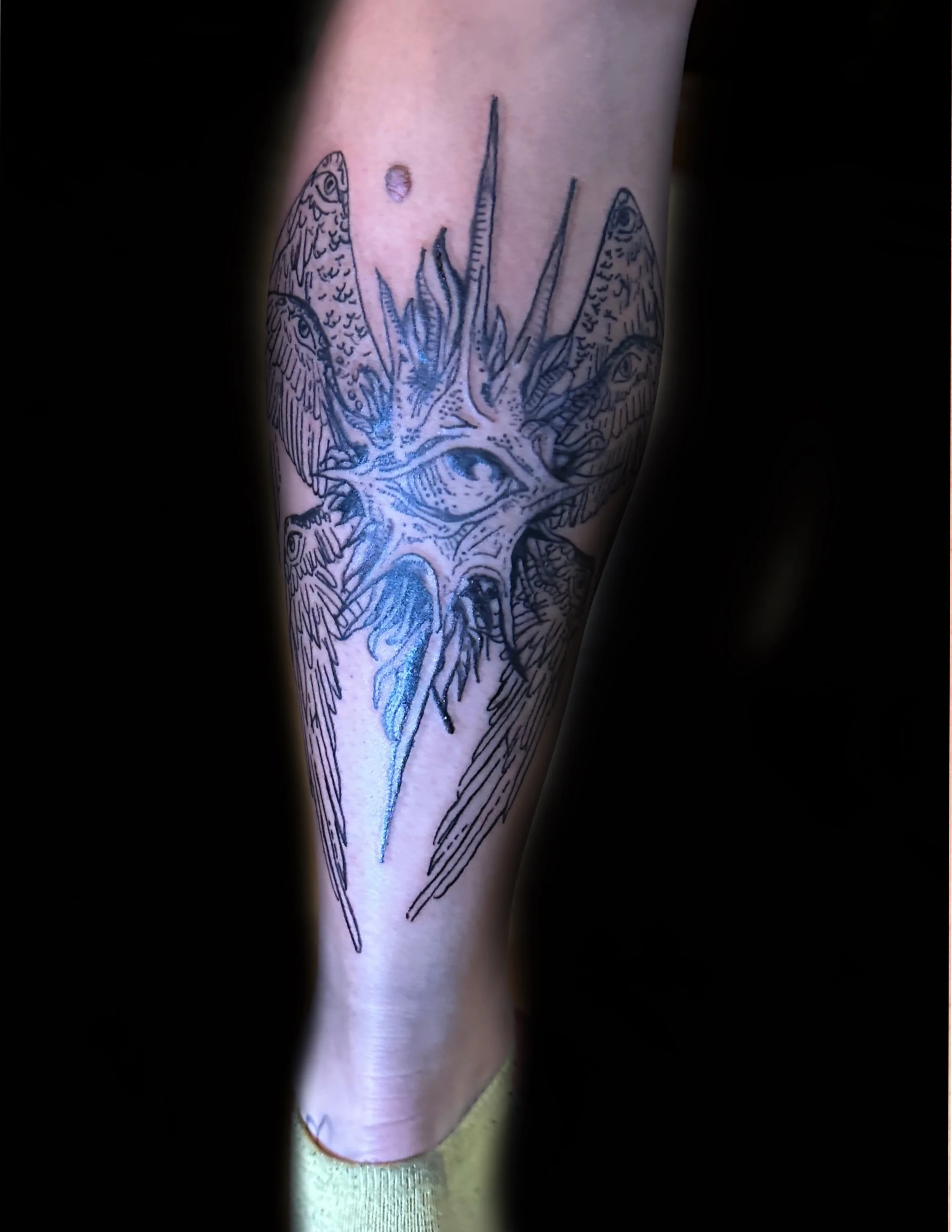 A tattoo of a unique eye with large wings that wrap around the back of calf into the shin, with detailed line work and shading.