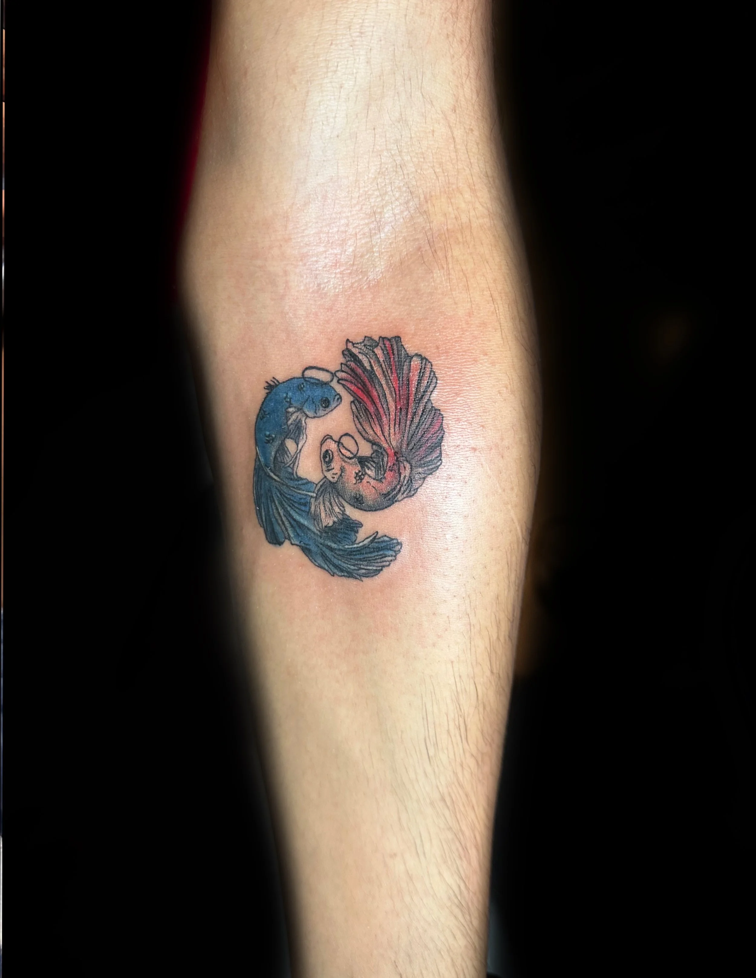 Tattoo of two fish, one blue, one red, swimming around one another to symbolize a yin and yang symbol on person's arm.
