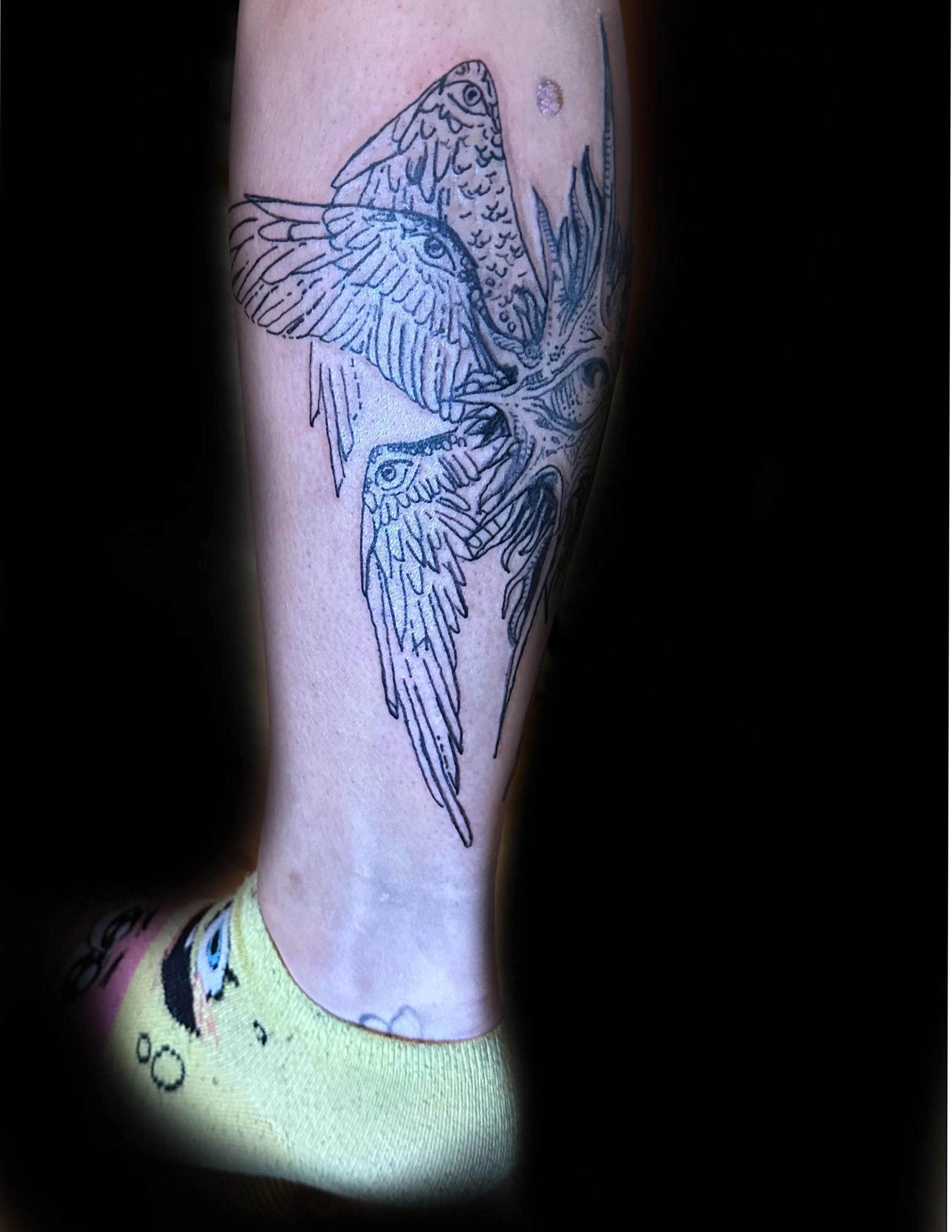 A tattoo of a unique eye with large wings that wrap around the back of calf into the shin, with detailed line work and shading.