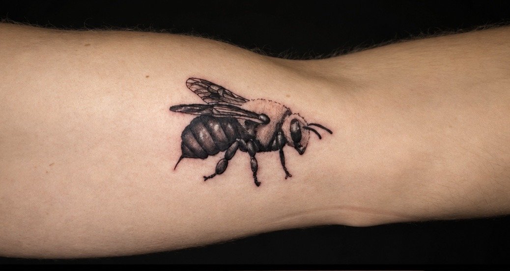 Close-up of a realistic black and gray bee tattoo on a person's inner forearm.