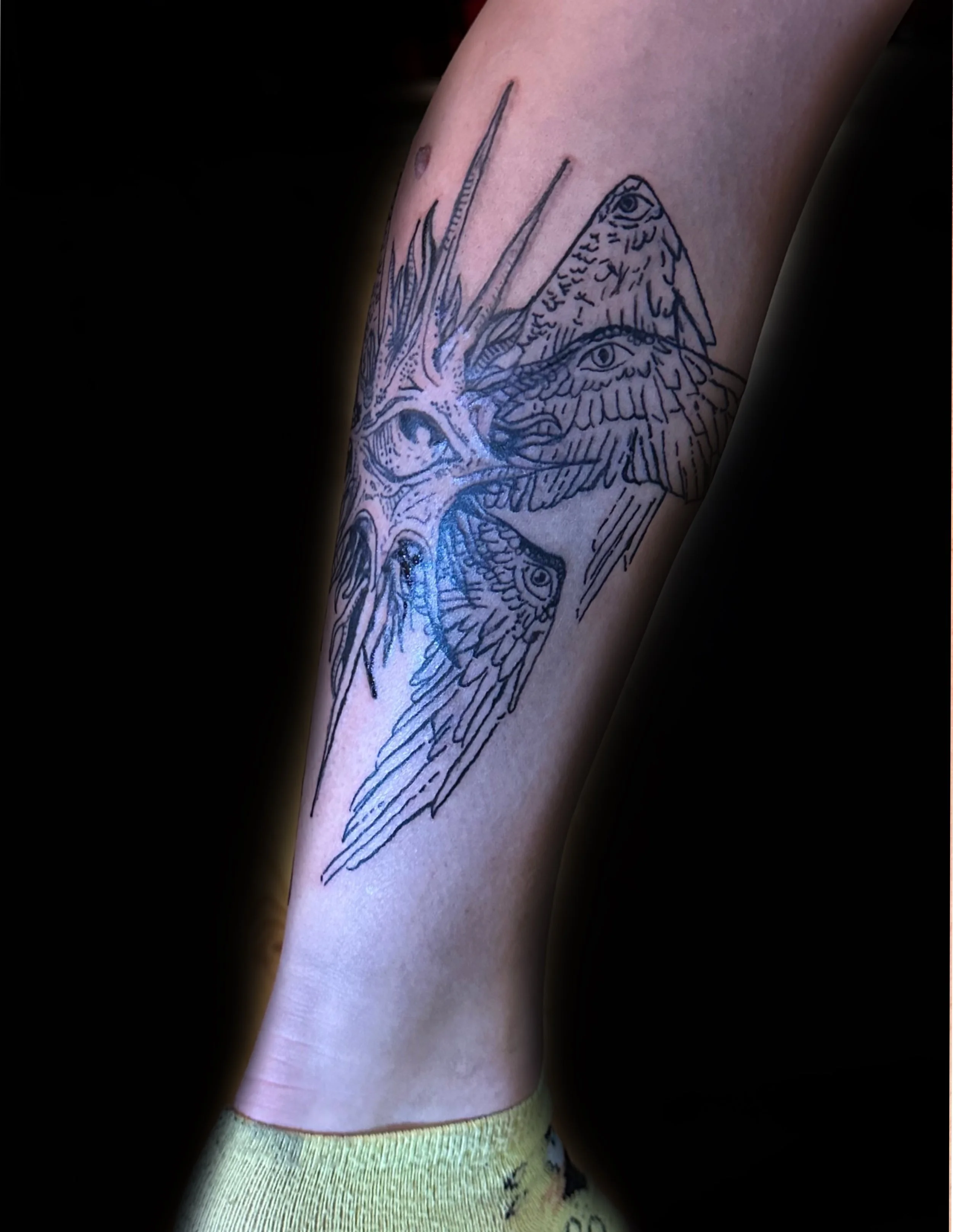 A tattoo of a unique eye with large wings that wrap around the back of calf into the shin, with detailed line work and shading.