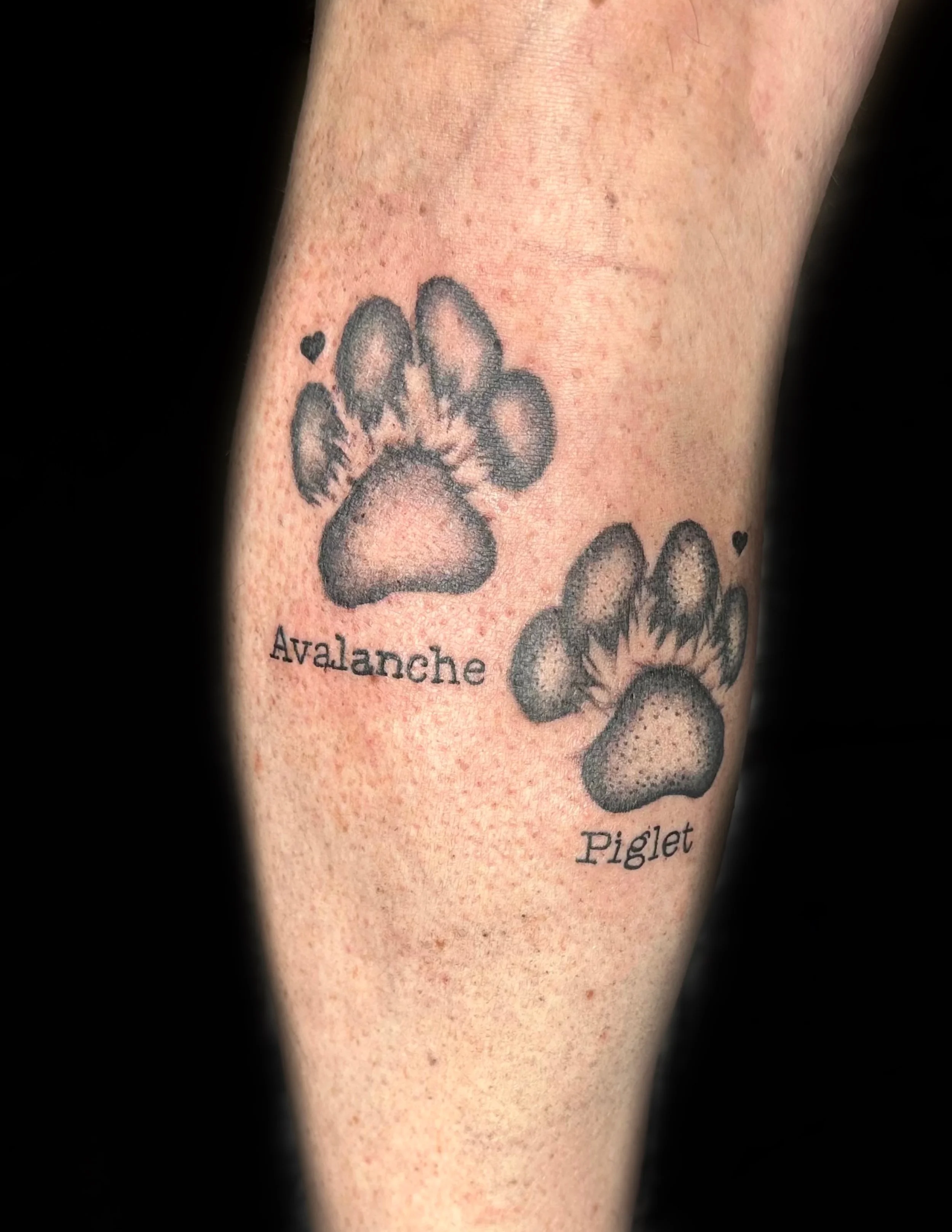 Close-up of a tattoo on a person's arm featuring paw prints, with the words 'Avalanche' and 'Piglet' written below the prints.