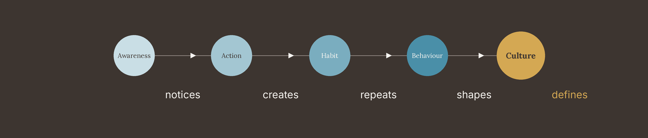 HabitWell organisational model: Awareness notices, Action creates, Habit repeats, Behaviour shapes, Culture defines