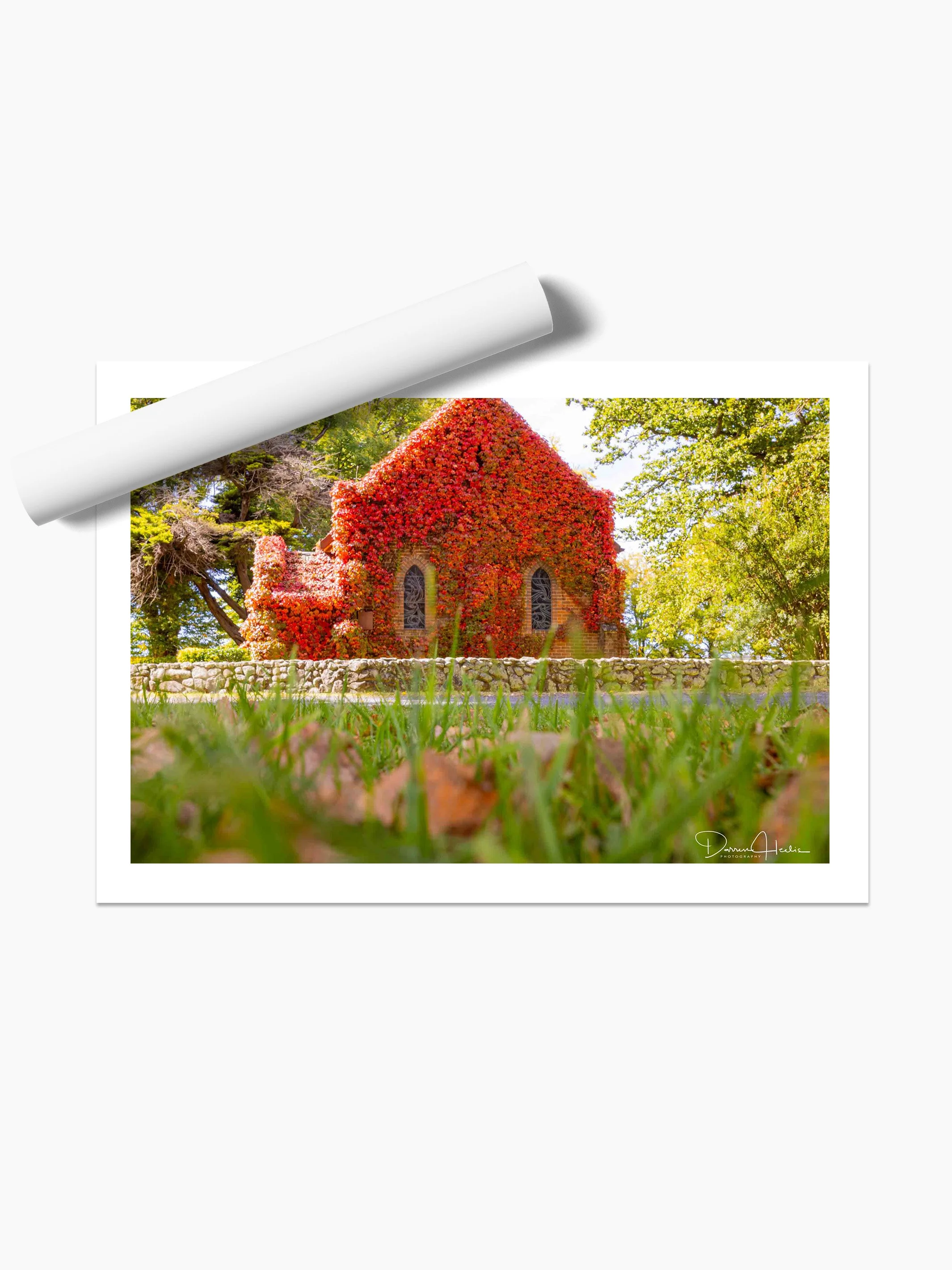 UNFRAMED PRINT.jpg