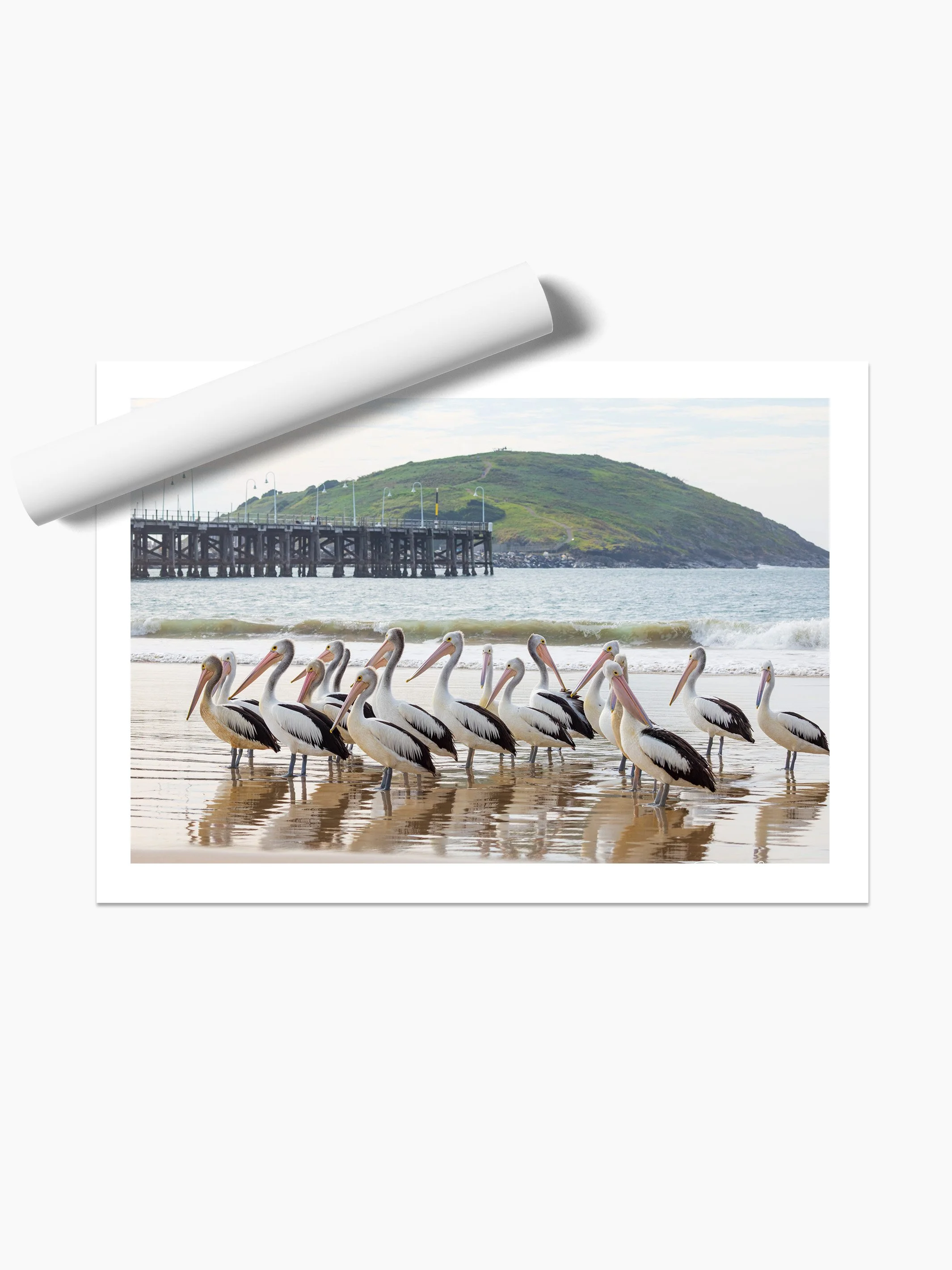 UNFRAMED PRINT.jpg