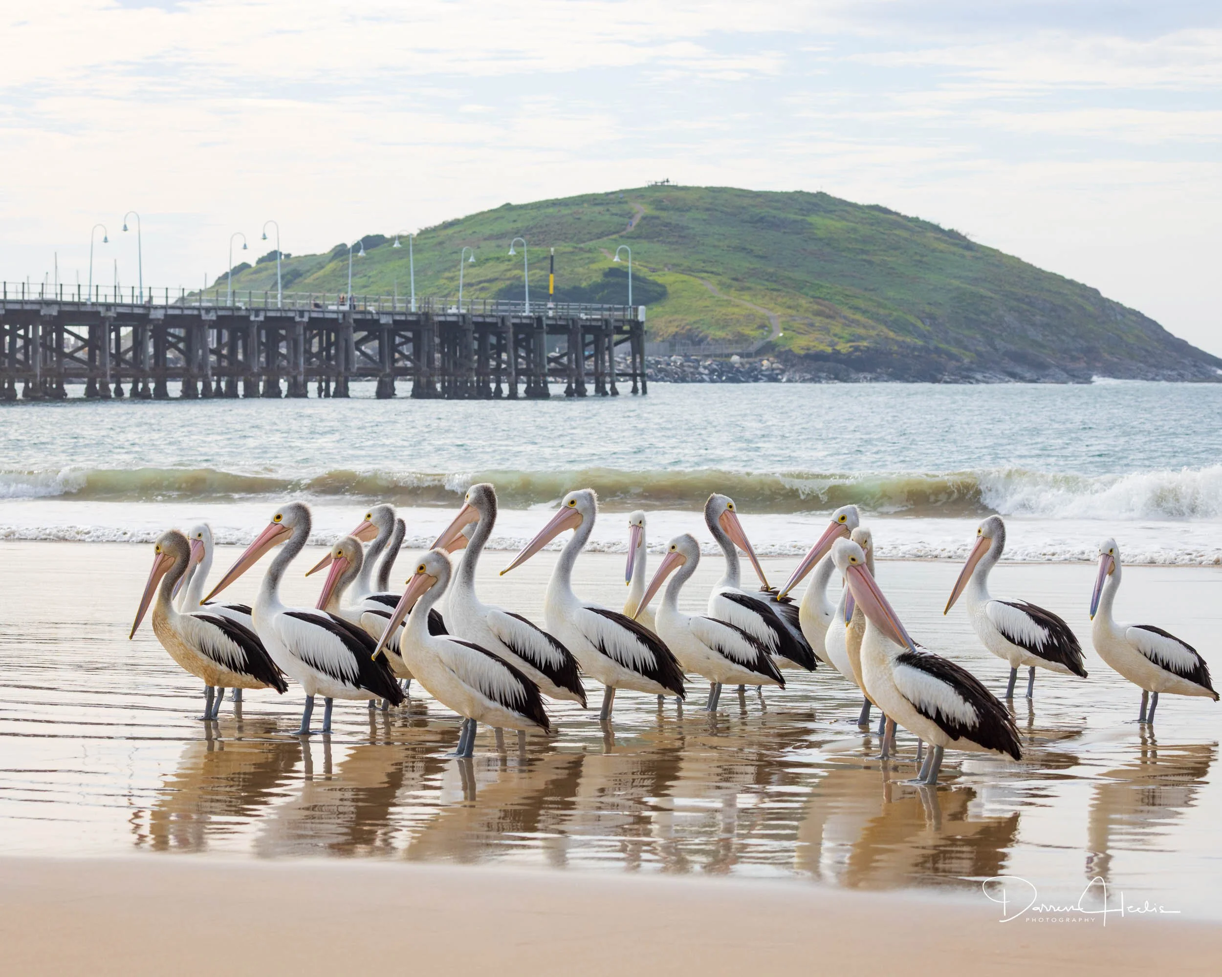 Gathering at the Jetty