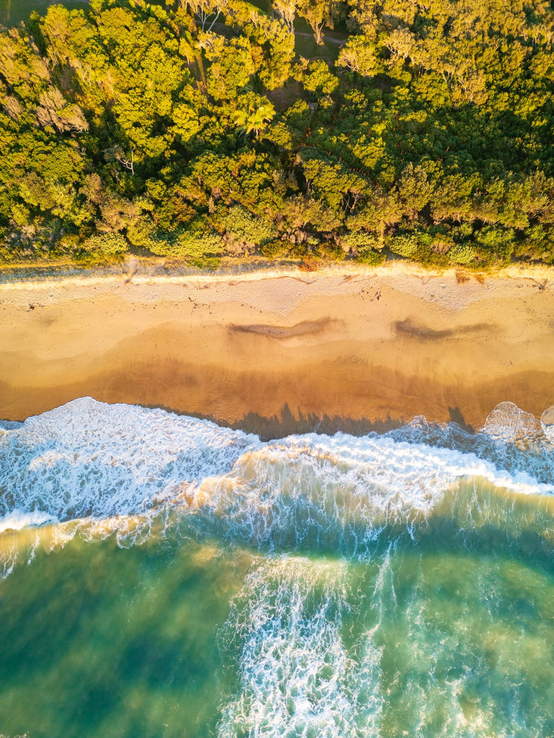 Aerial view of a sandy beach meeting the ocean with waves crashing onto the shore and dense green trees beyond the beach.