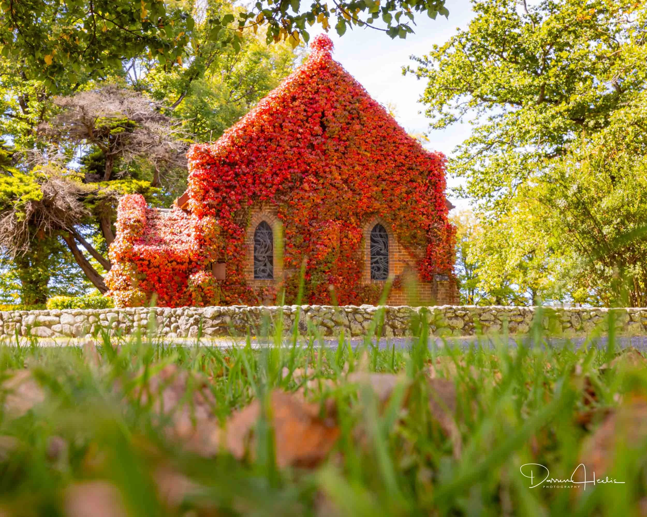 A small brick church covered with red and orange autumn leaves, surrounded by green trees and grass.
