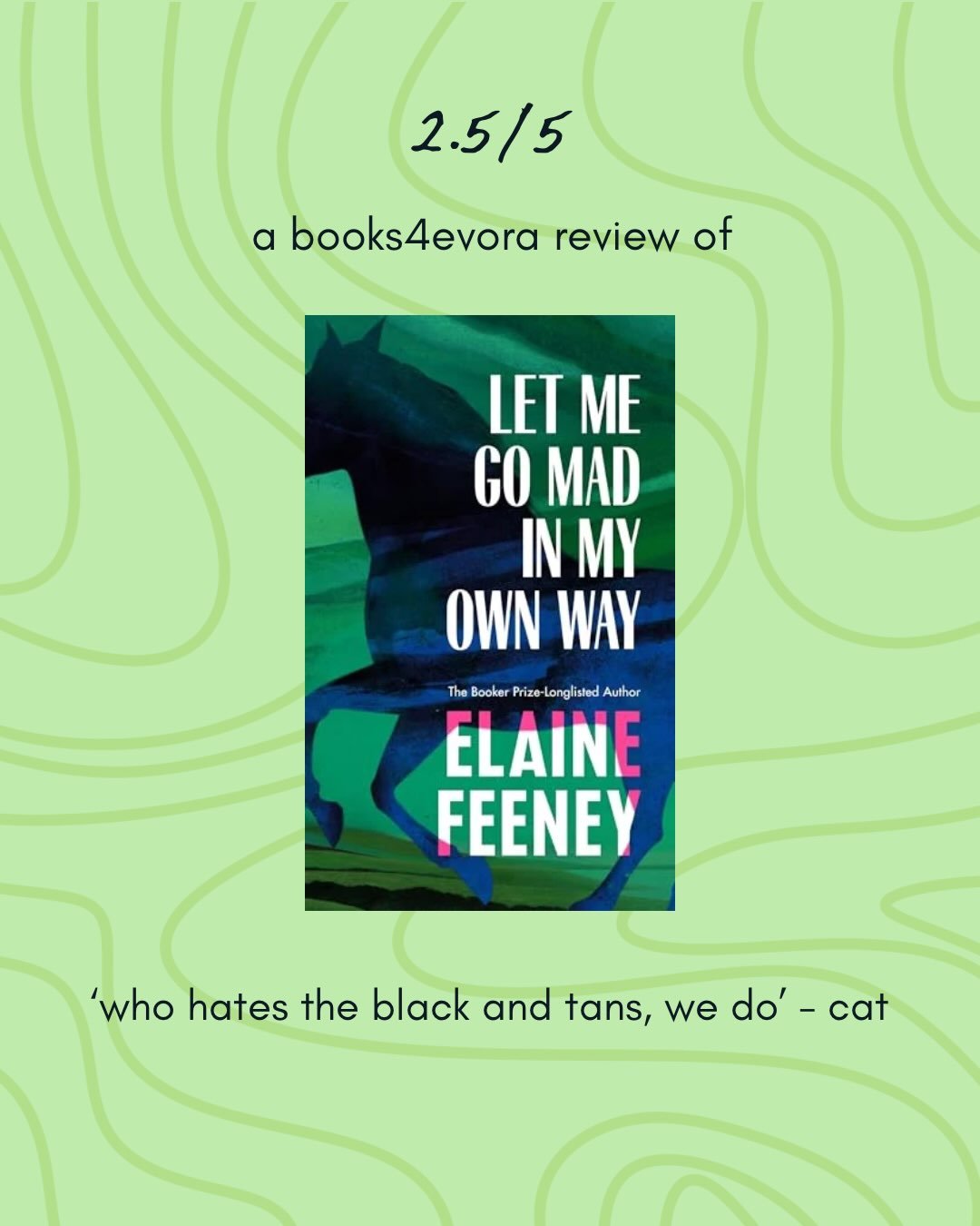 let me go mad in my own way is not just a story about relationships but a retelling and reckoning of Ireland&rsquo;s troubled past 

it&rsquo;s definitely a slow burn of a narrative, starting off as a story about relationships and grief but finishing