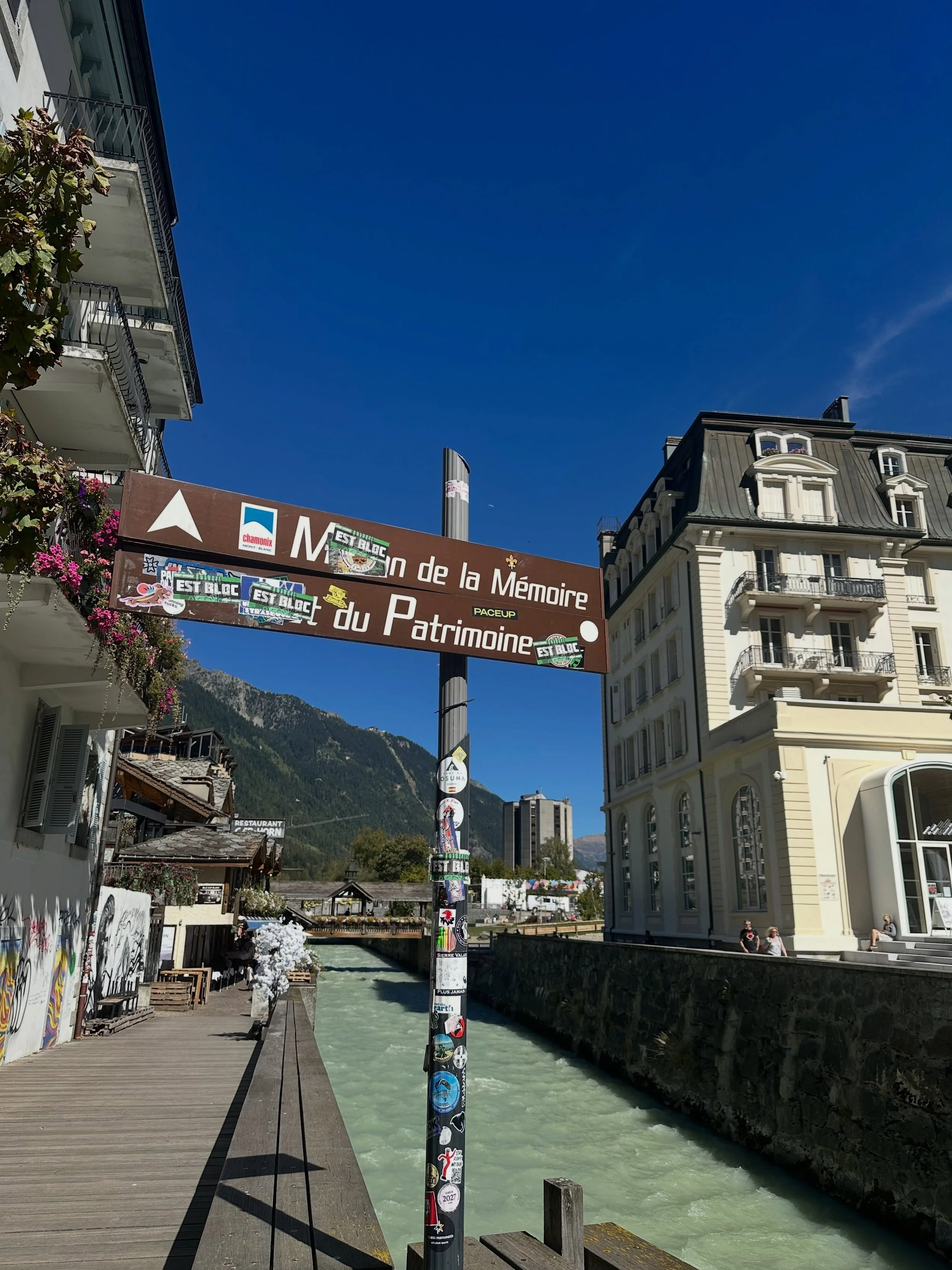 cool sign

📍Maison de la Presse

I don&rsquo;t think I was allowed to sit here

The queen

a chandelier at a bookstore, fancy 
📍la librairie sauvage

does any of my moots speak French?

kids section with a view of Mont Blanc, only here

pink bridge