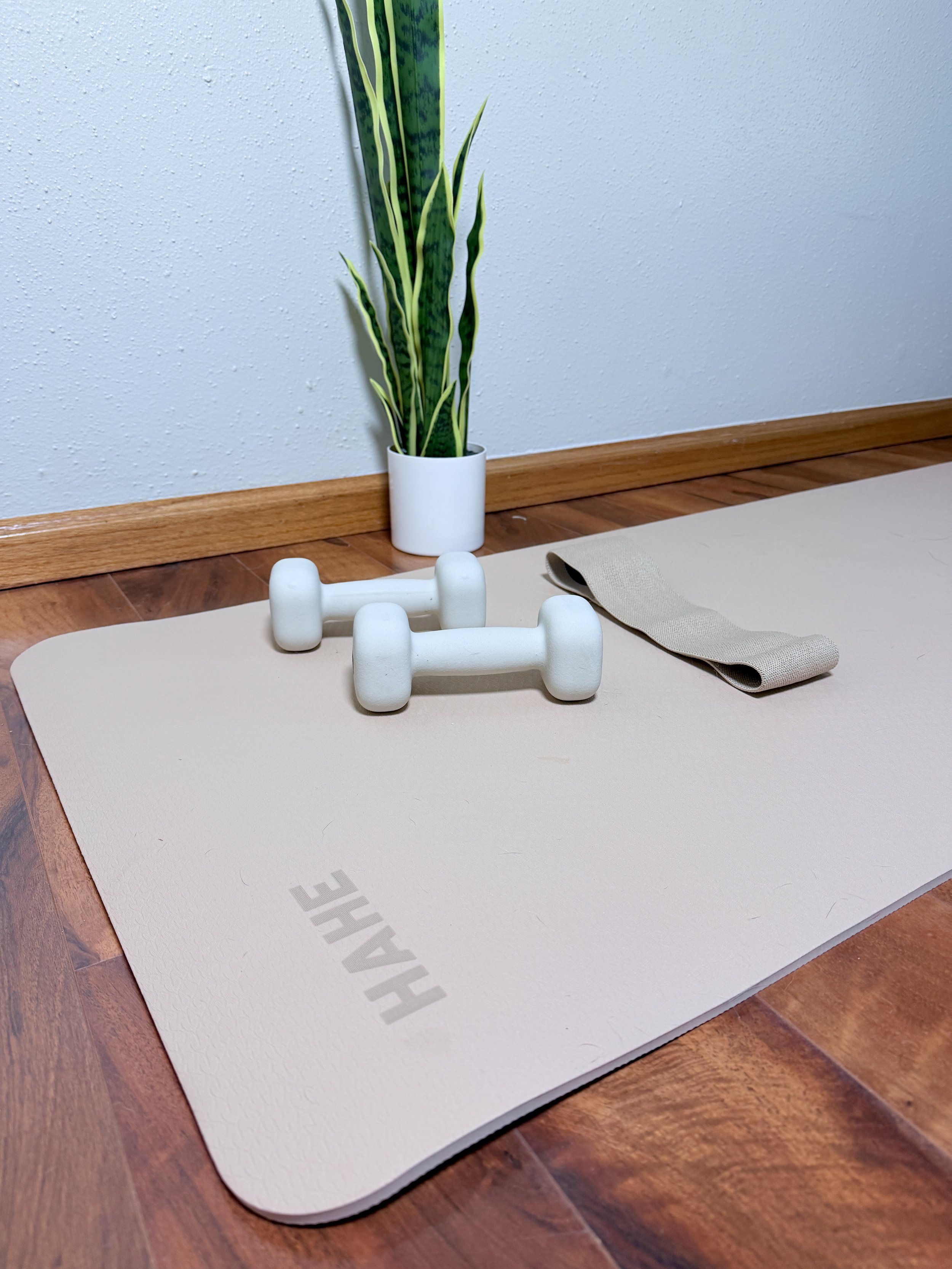 A yoga mat, a pair of white dumbbells, and a folded beige towel next to a potted snake plant against a blue wall.
