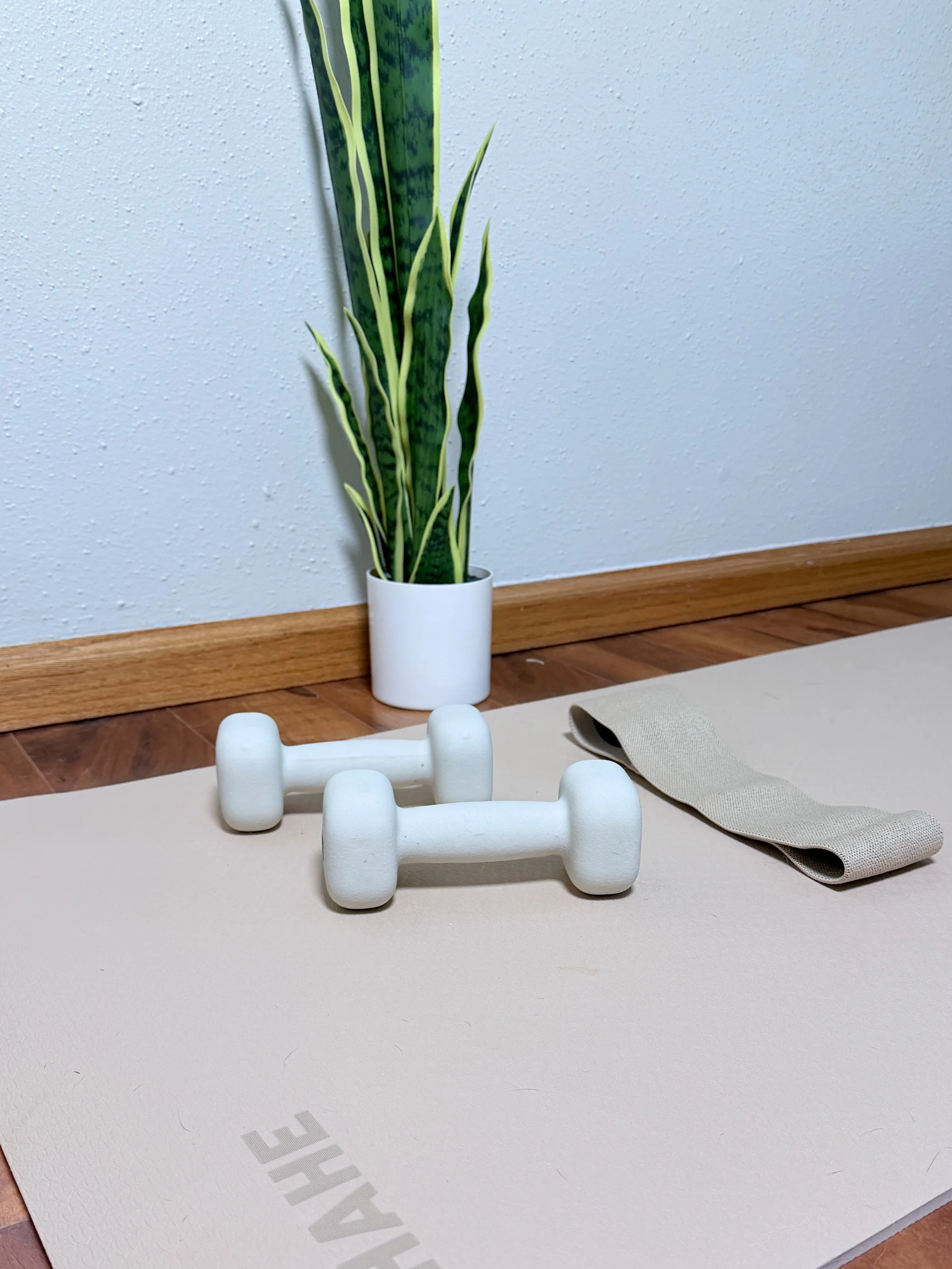 A pair of white dumbbells on a beige yoga mat. A beige cloth is next to the mat. A potted snake plant is positioned against a light gray textured wall on a wooden floor.