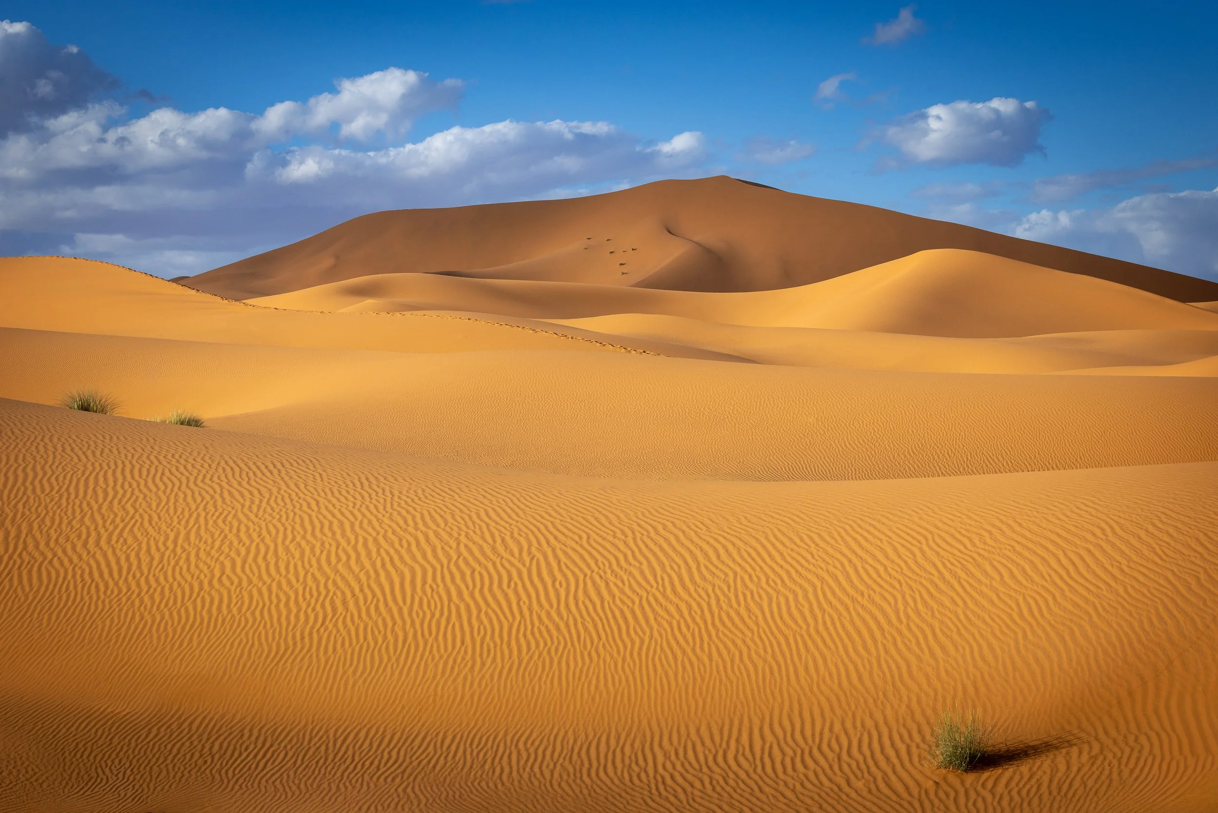 _B6A4297-Edit.jpg