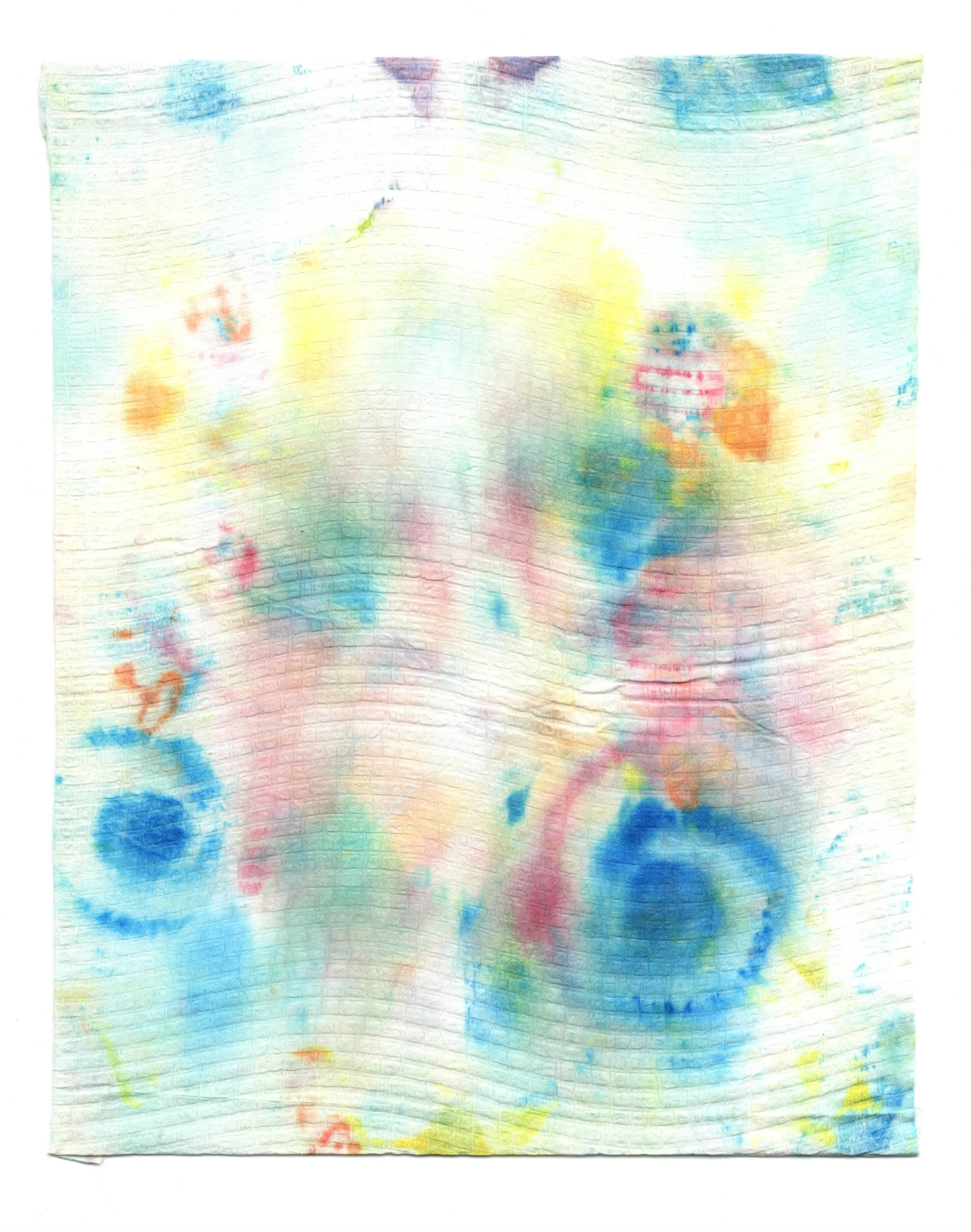 papertowelmagic 2.jpeg