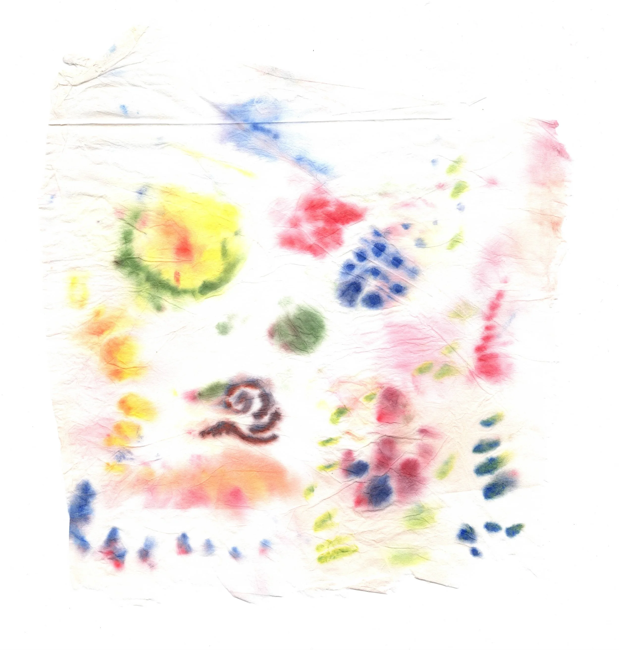 tissue 2.jpeg