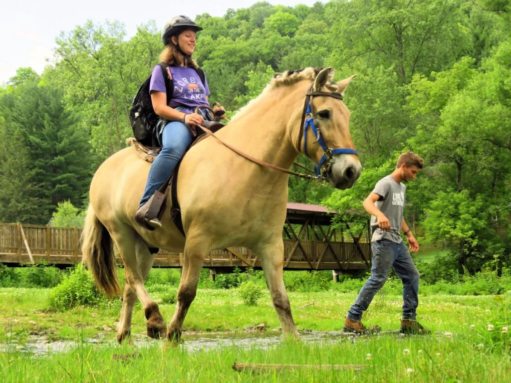 Two new exciting horse programs!