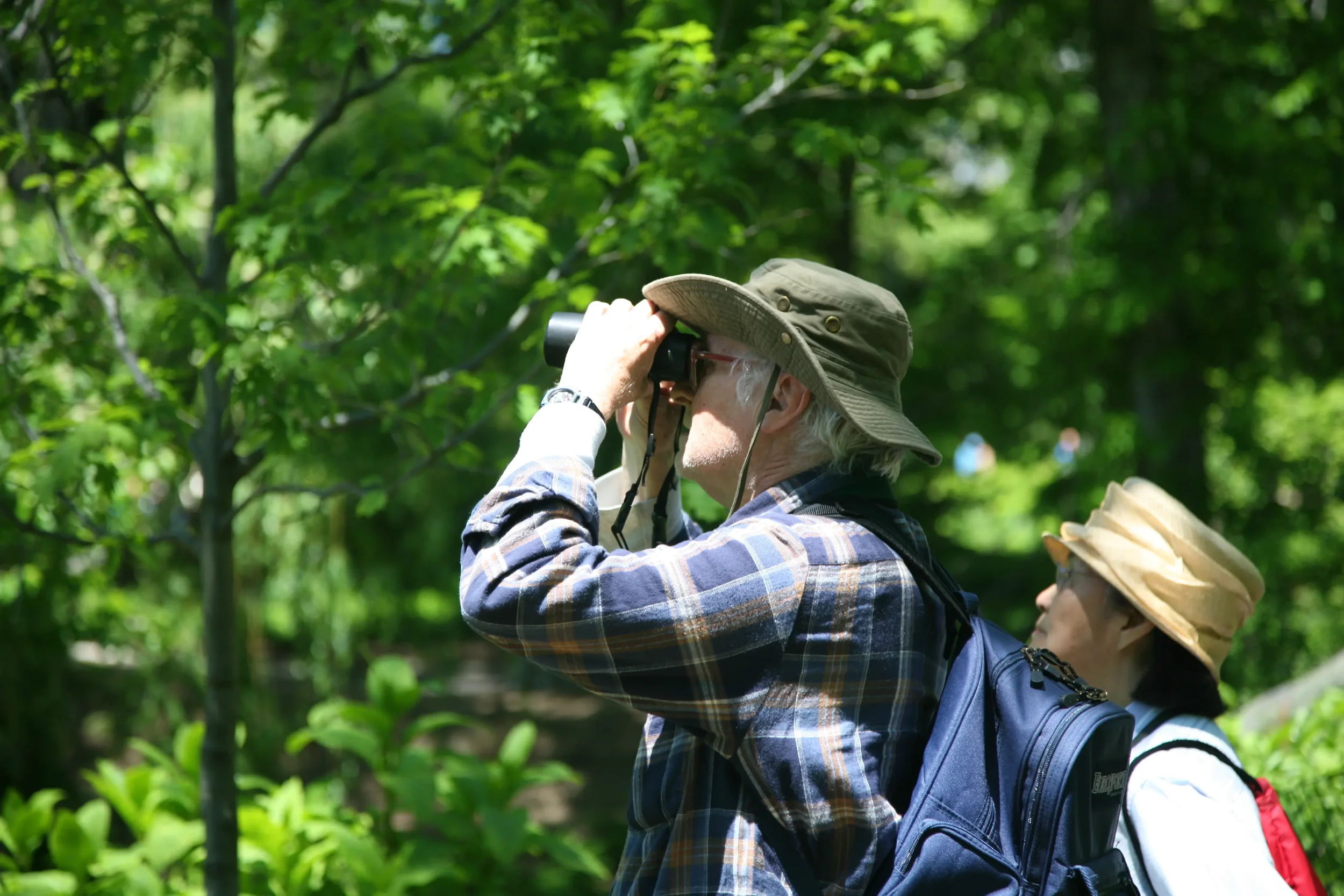An elderly man with white hair looks through binoculars in a green forest, wearing a hat and plaid shirt, with a backpack.
